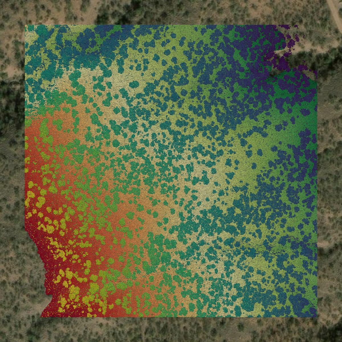 This image shows a LiDAR point cloud in Santa Cruz County created using GIS data in Equator.