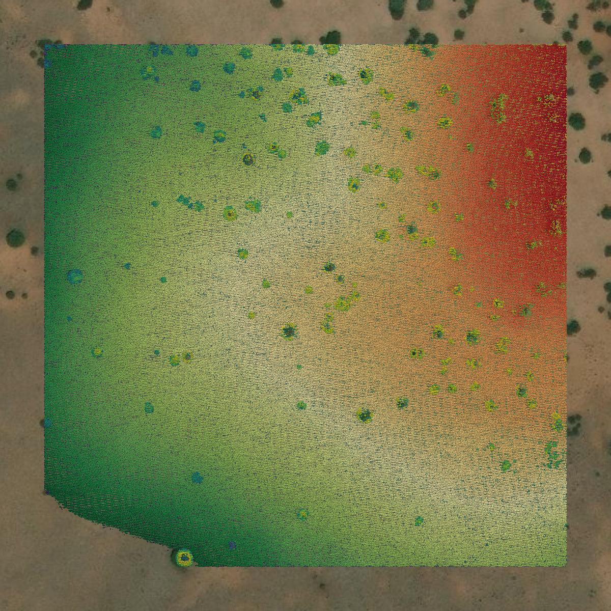 This image shows a LiDAR point cloud in Yavapai County created using GIS data in Equator.