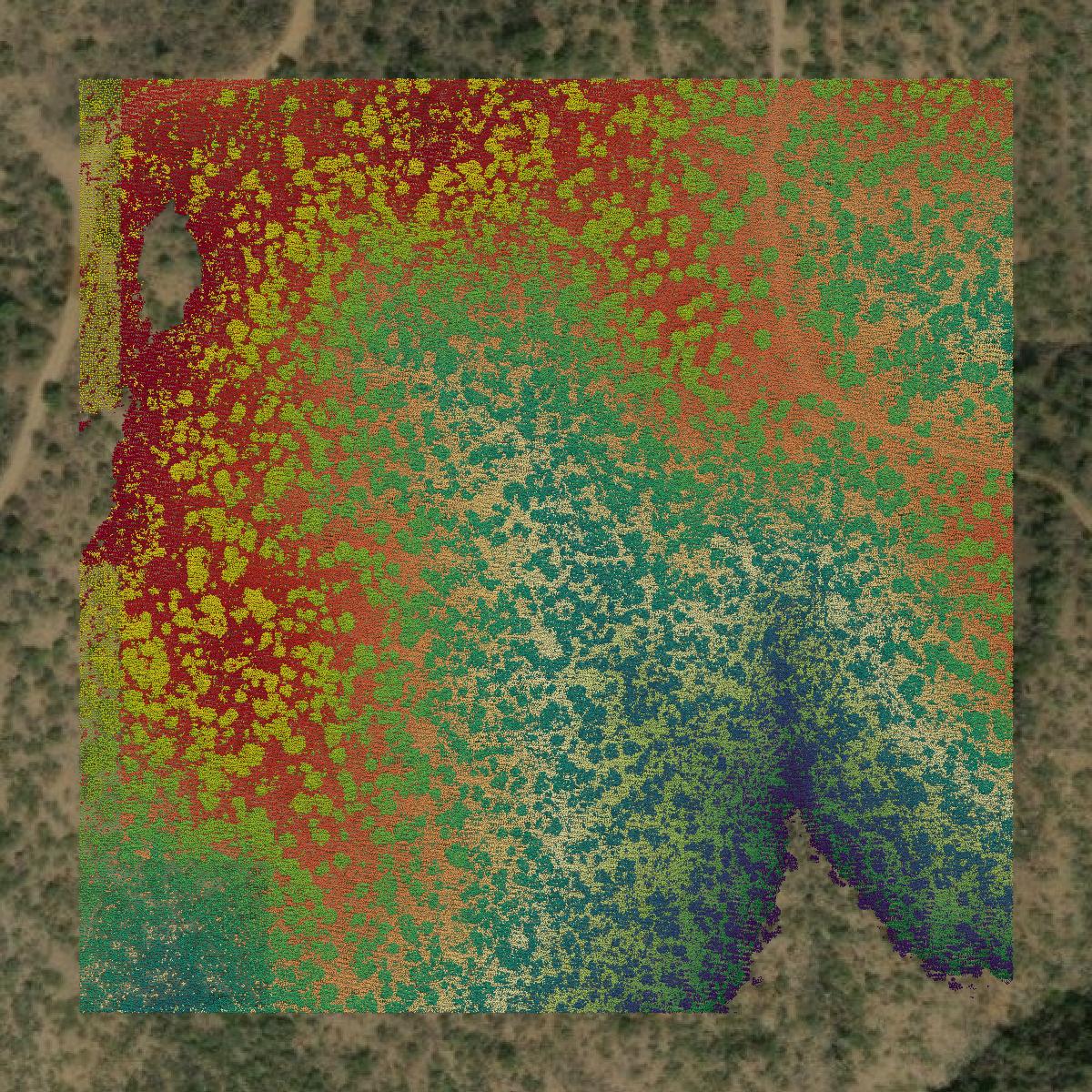 This image shows a LiDAR point cloud in Yavapai County created using GIS data in Equator.
