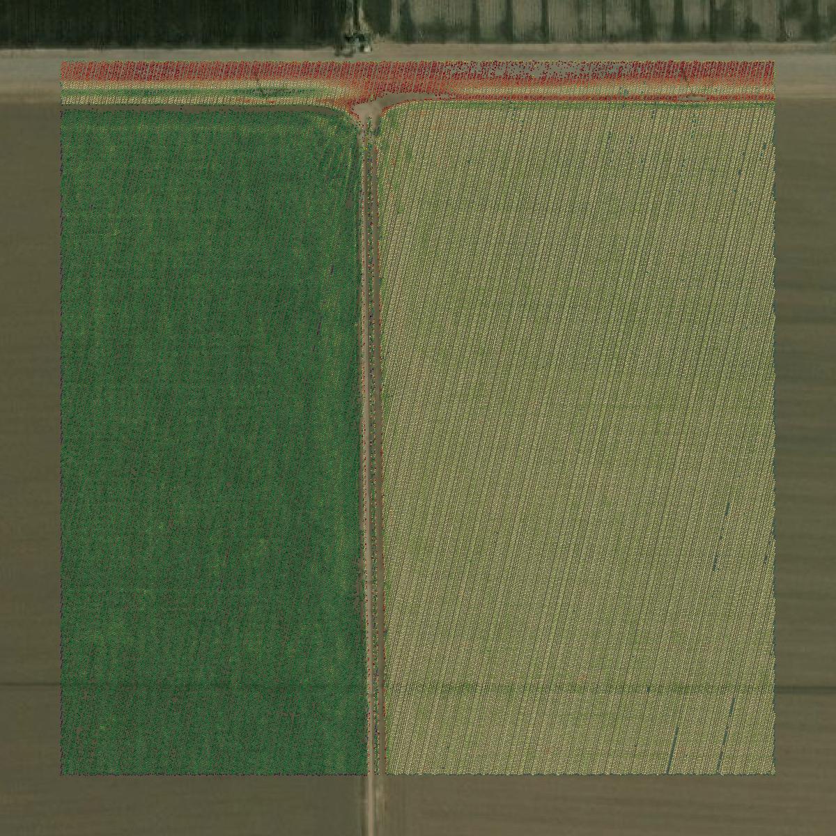 This image shows a LiDAR point cloud in Yuma County created using GIS data in Equator.