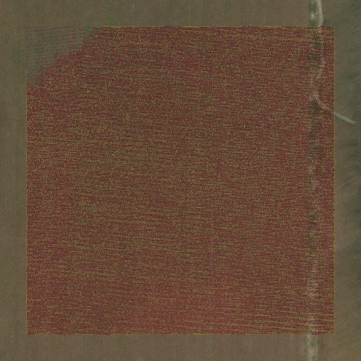 This image shows a LiDAR point cloud in Ashley County created using GIS data in Equator.