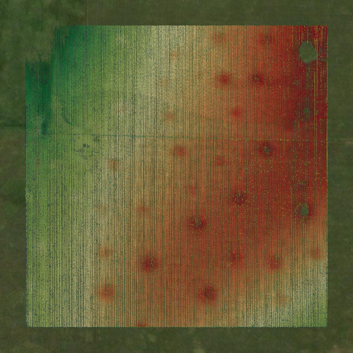 This image shows a LiDAR point cloud in Benton County created using GIS data in Equator.