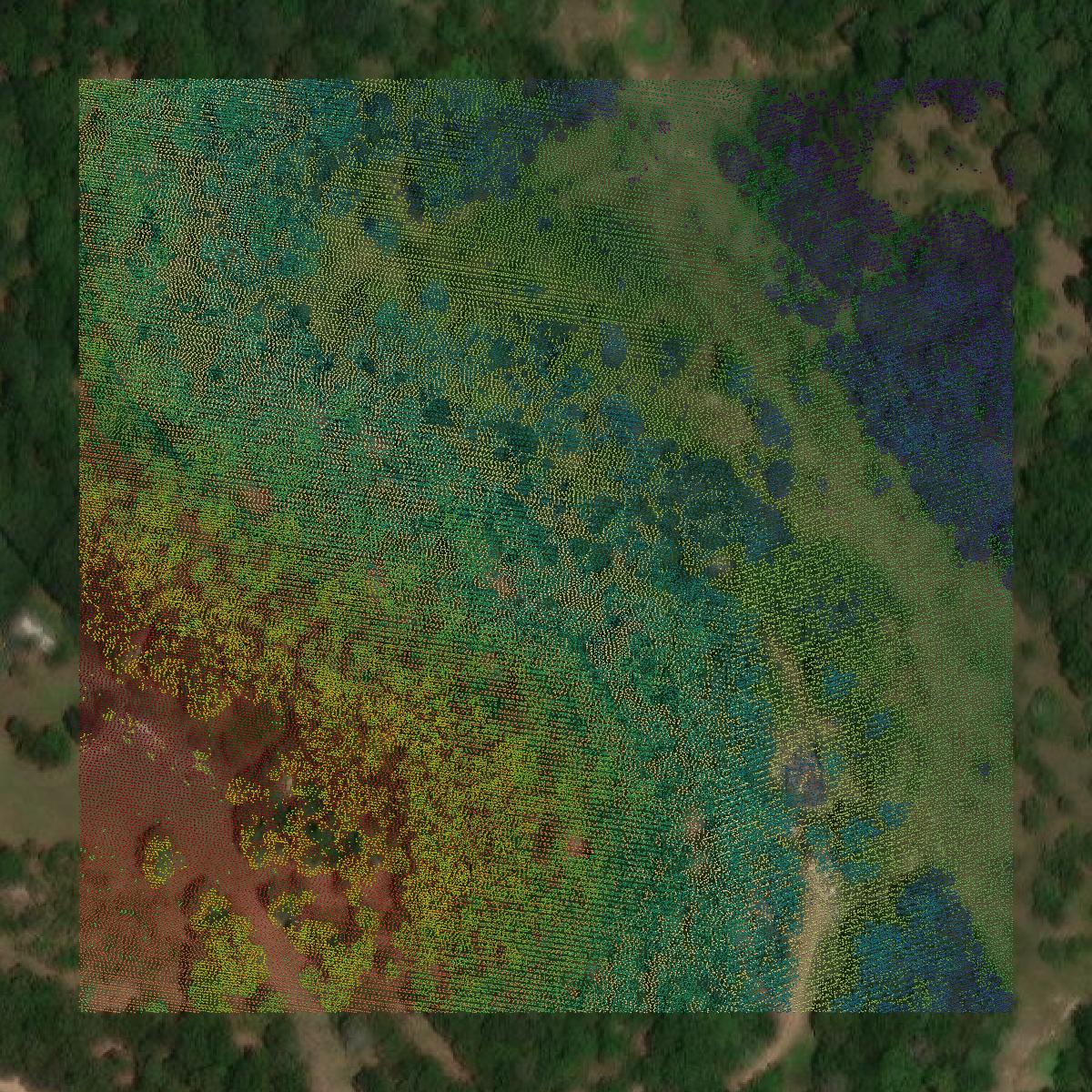 This image shows a LiDAR point cloud in Boone County created using GIS data in Equator.