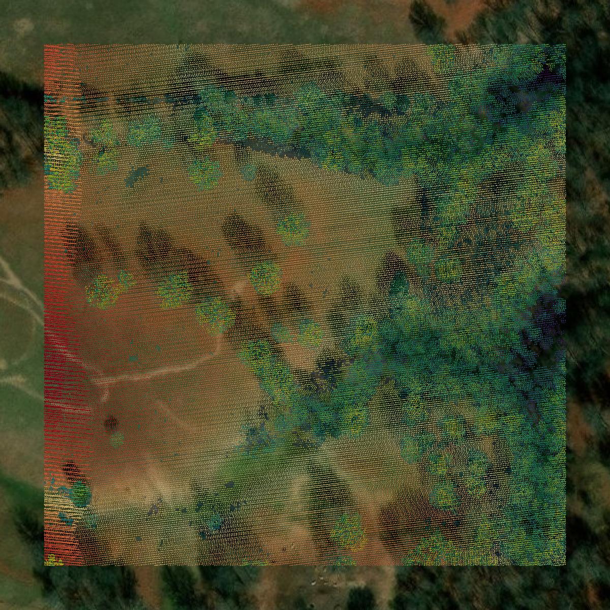 This image shows a LiDAR point cloud in Boone County created using GIS data in Equator.