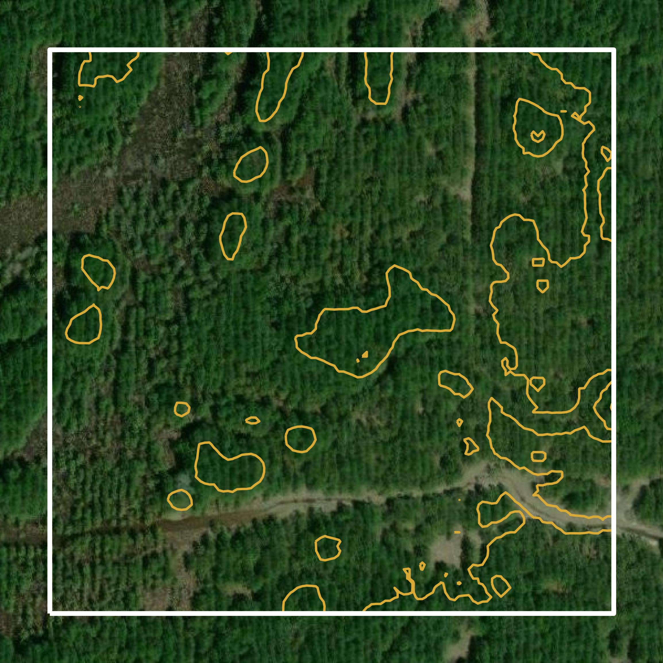 This image shows a contour map in Bradley County created using GIS data in Equator.