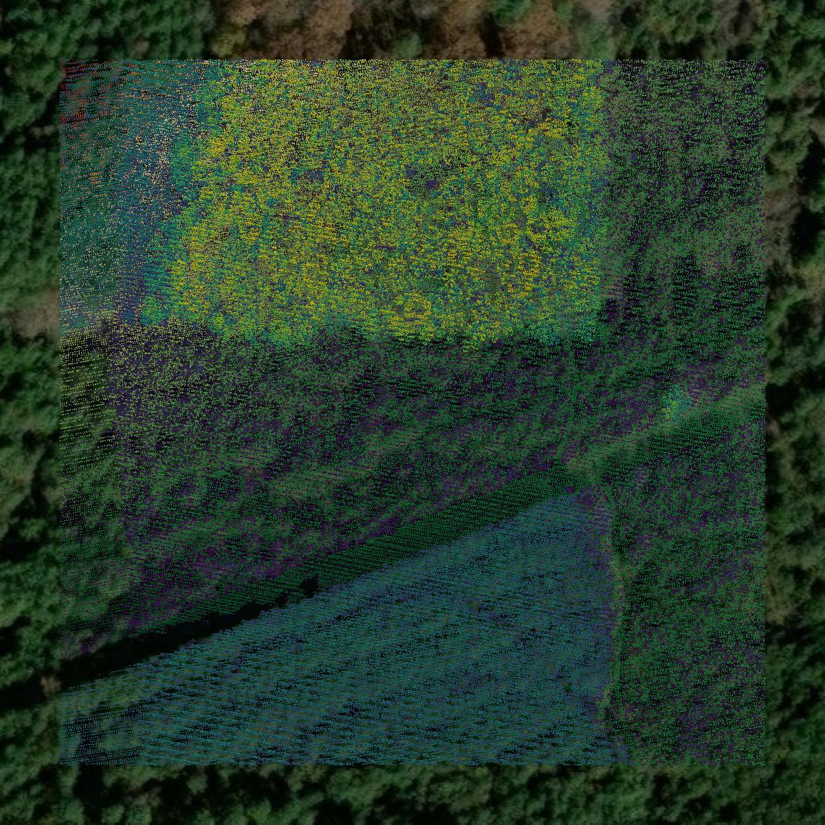 This image shows a LiDAR point cloud in Bradley County created using GIS data in Equator.