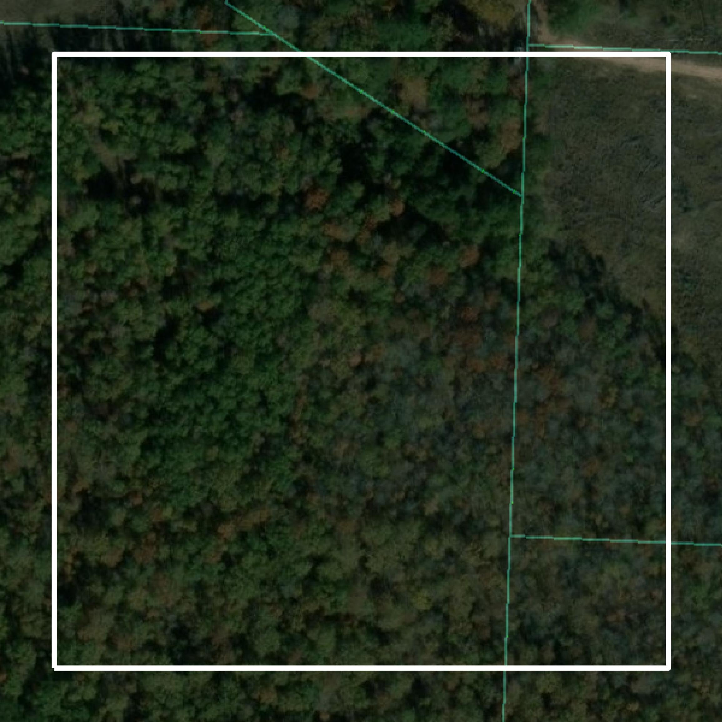 This image shows parcel and building data in Calhoun County created using GIS data in Equator.