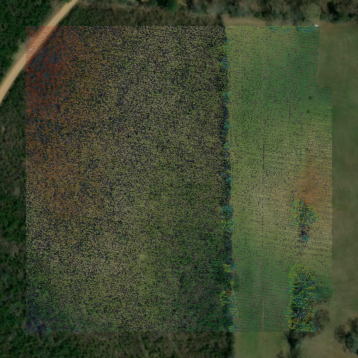 This image shows a LiDAR point cloud in Calhoun County created using GIS data in Equator.