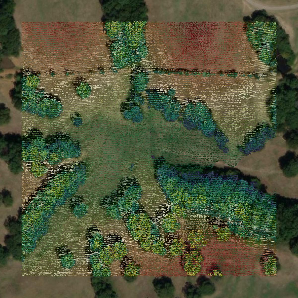 This image shows a LiDAR point cloud in Carroll County created using GIS data in Equator.