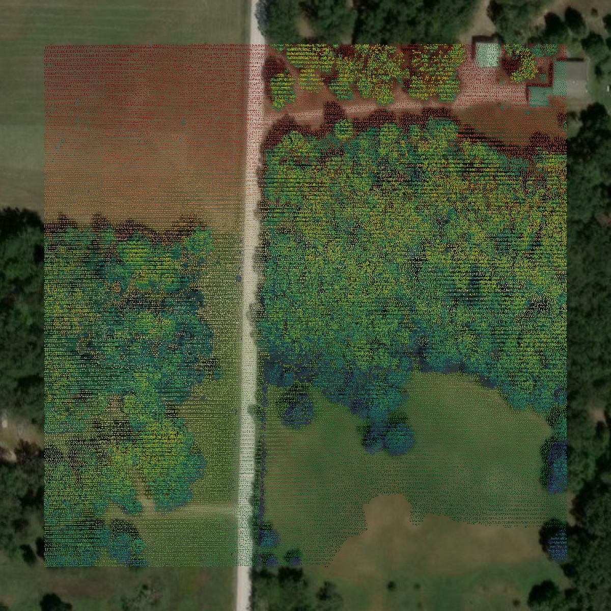 This image shows a LiDAR point cloud in Carroll County created using GIS data in Equator.