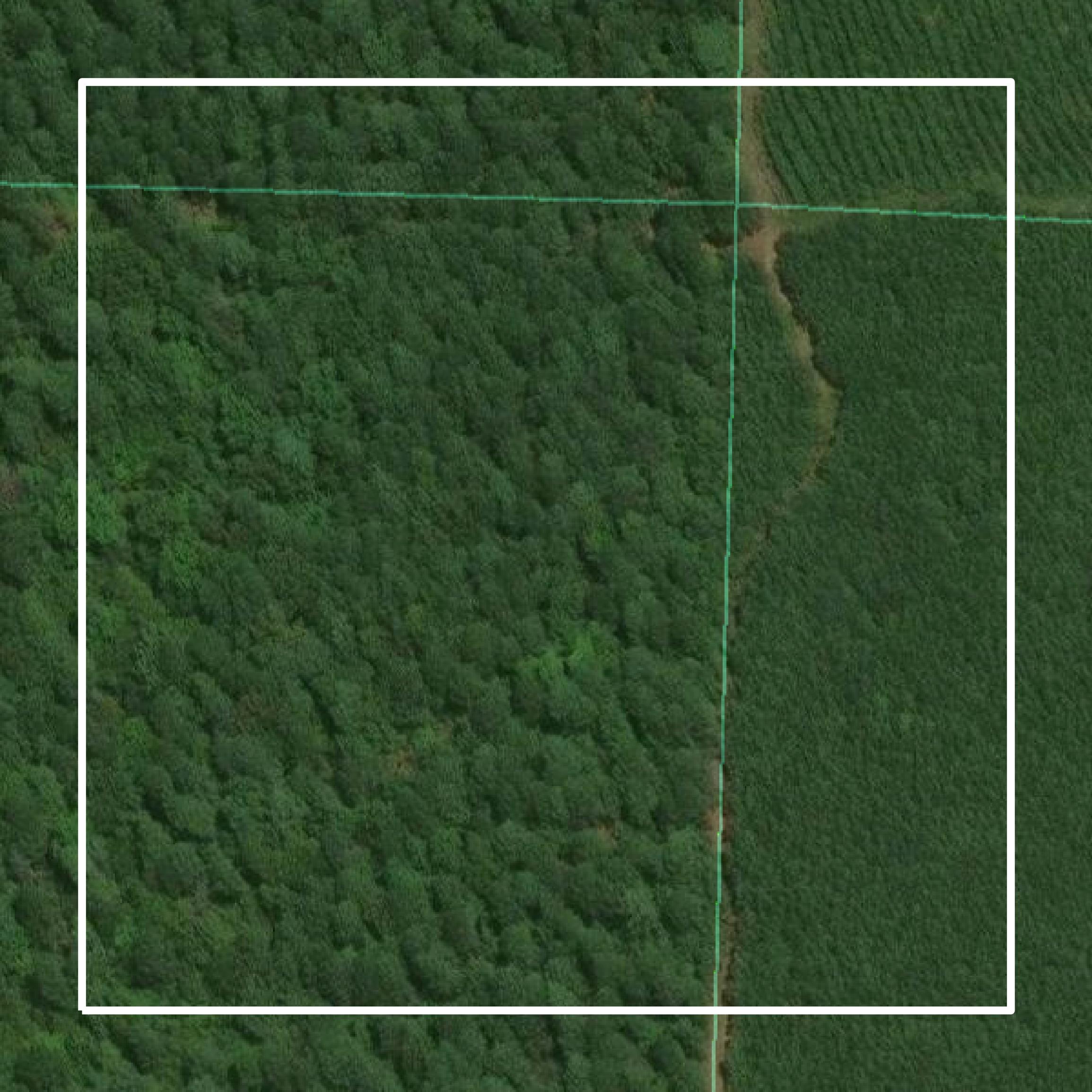This image shows parcel and building data in Clark County created using GIS data in Equator.