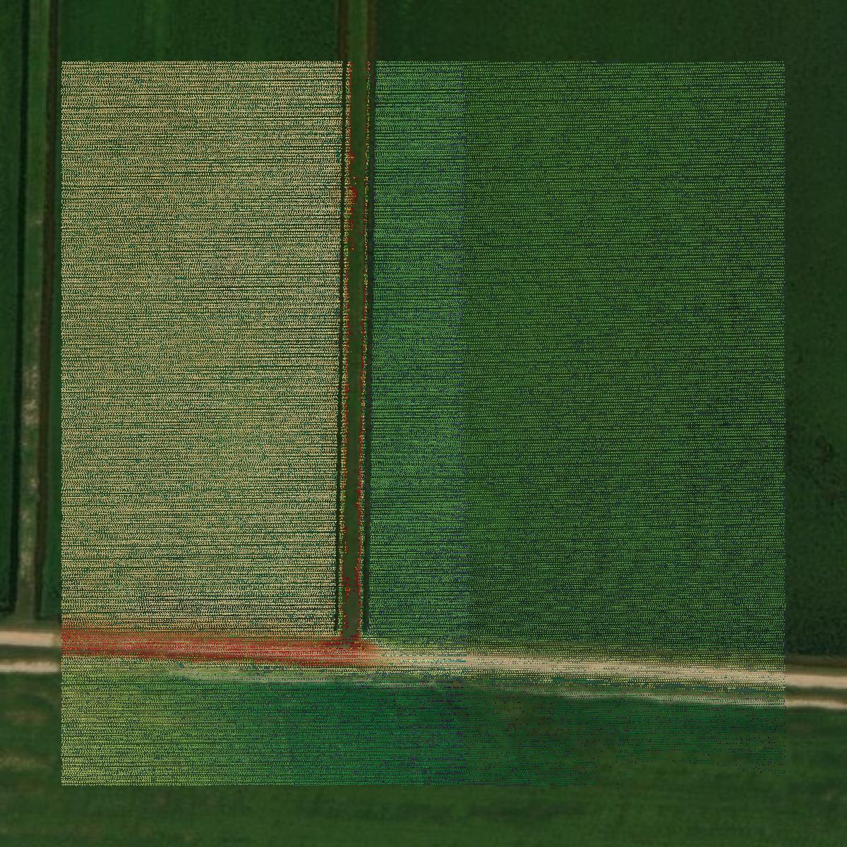 This image shows a LiDAR point cloud in Clark County created using GIS data in Equator.