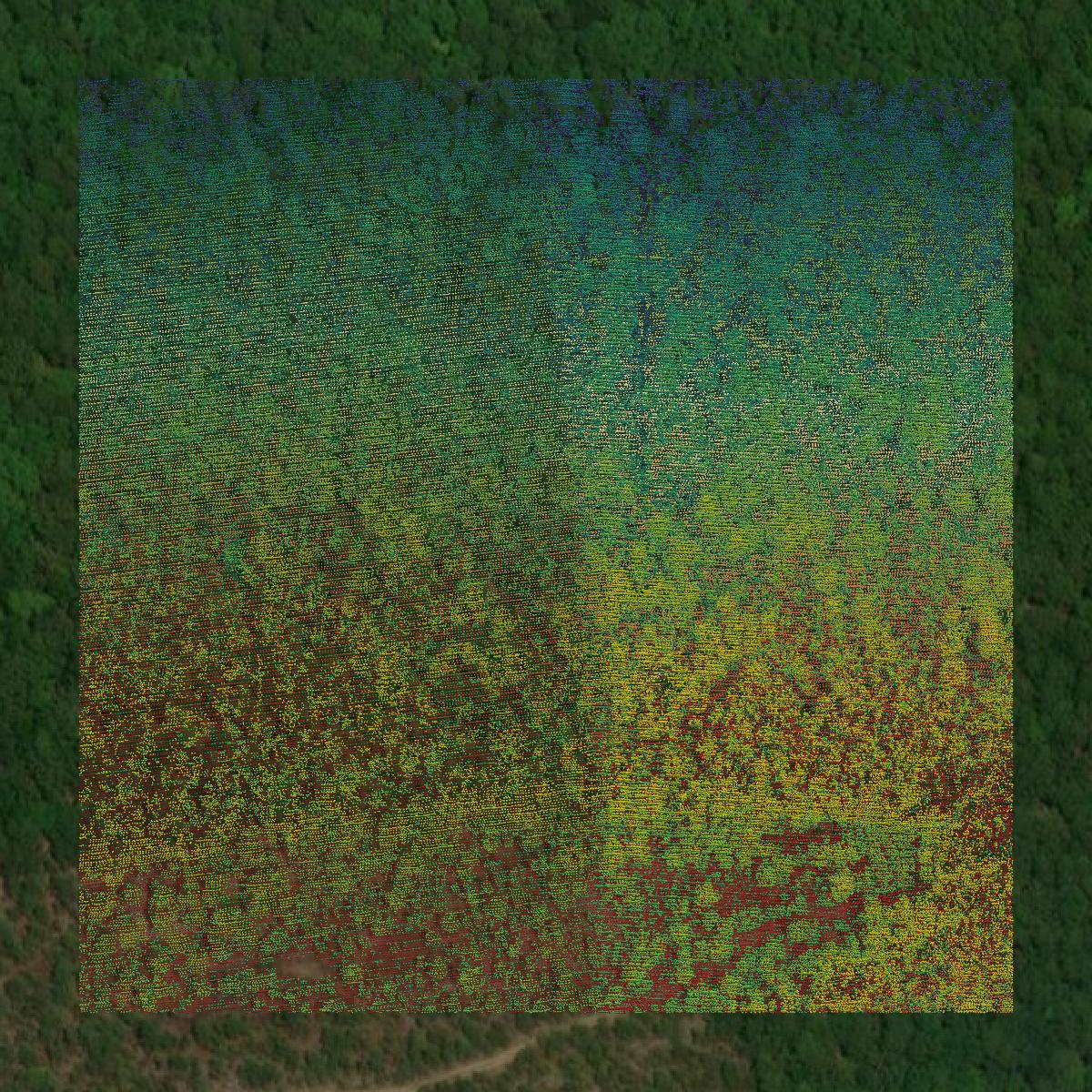 This image shows a LiDAR point cloud in Clark County created using GIS data in Equator.