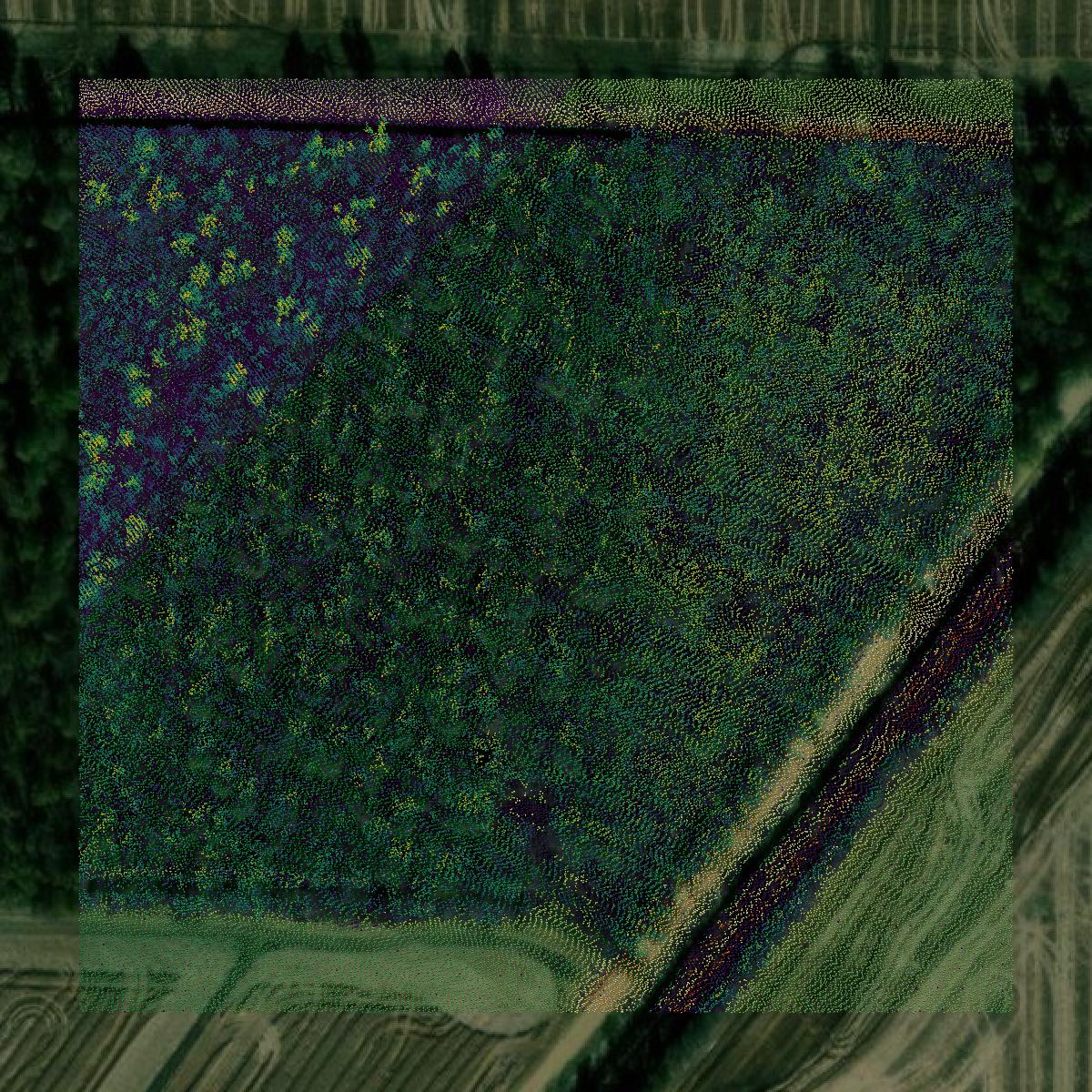 This image shows a LiDAR point cloud in Clay County created using GIS data in Equator.