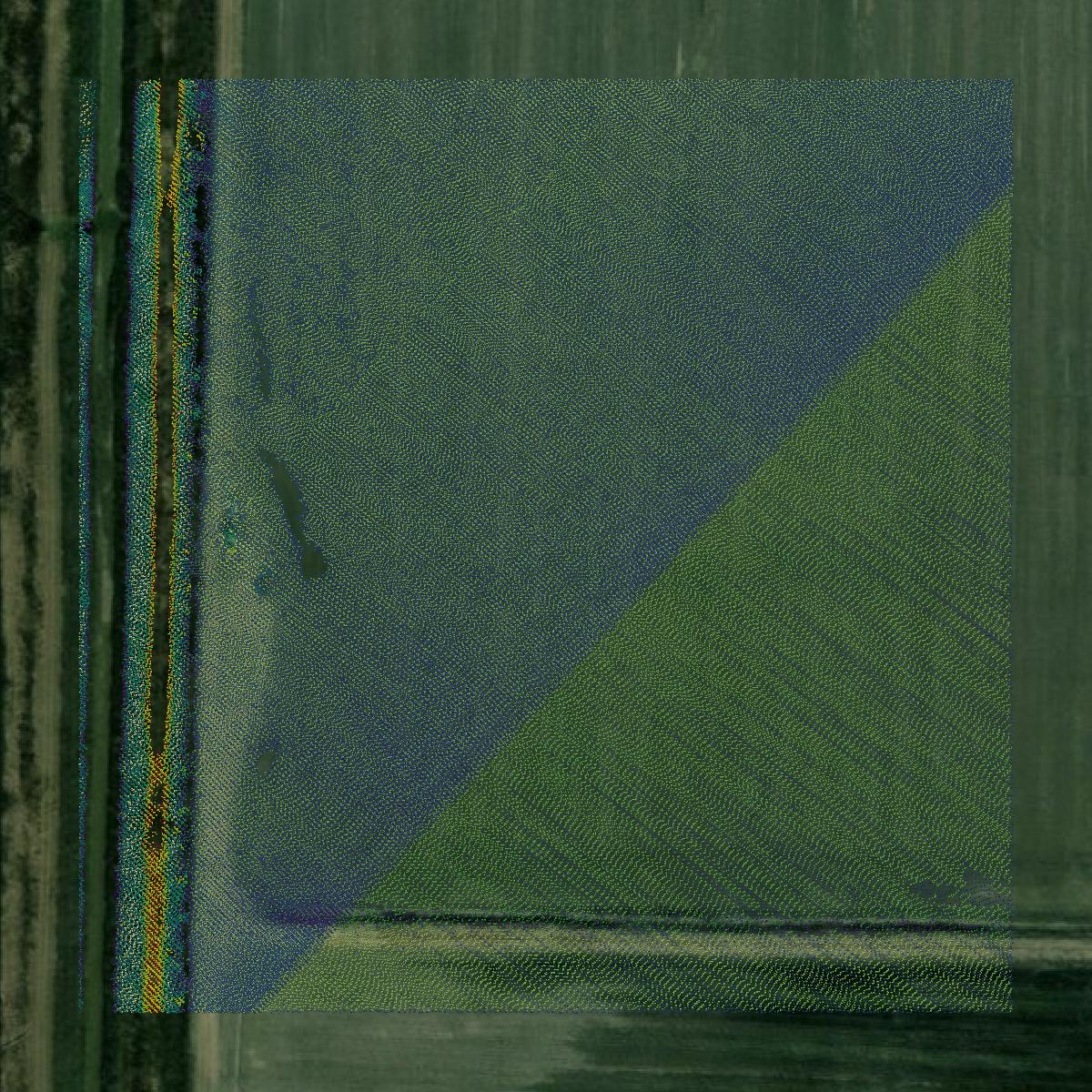 This image shows a LiDAR point cloud in Clay County created using GIS data in Equator.