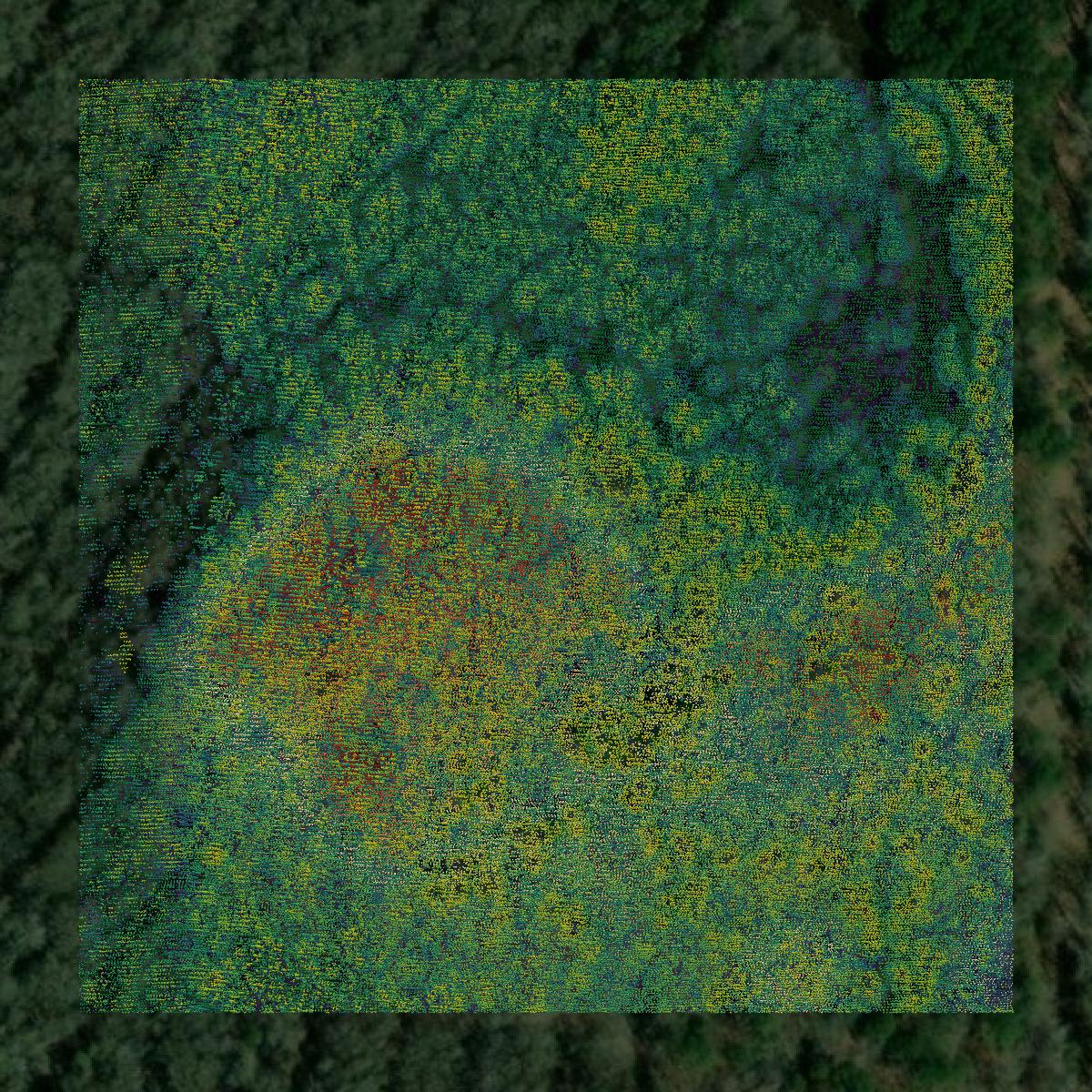 This image shows a LiDAR point cloud in Cleveland County created using GIS data in Equator.