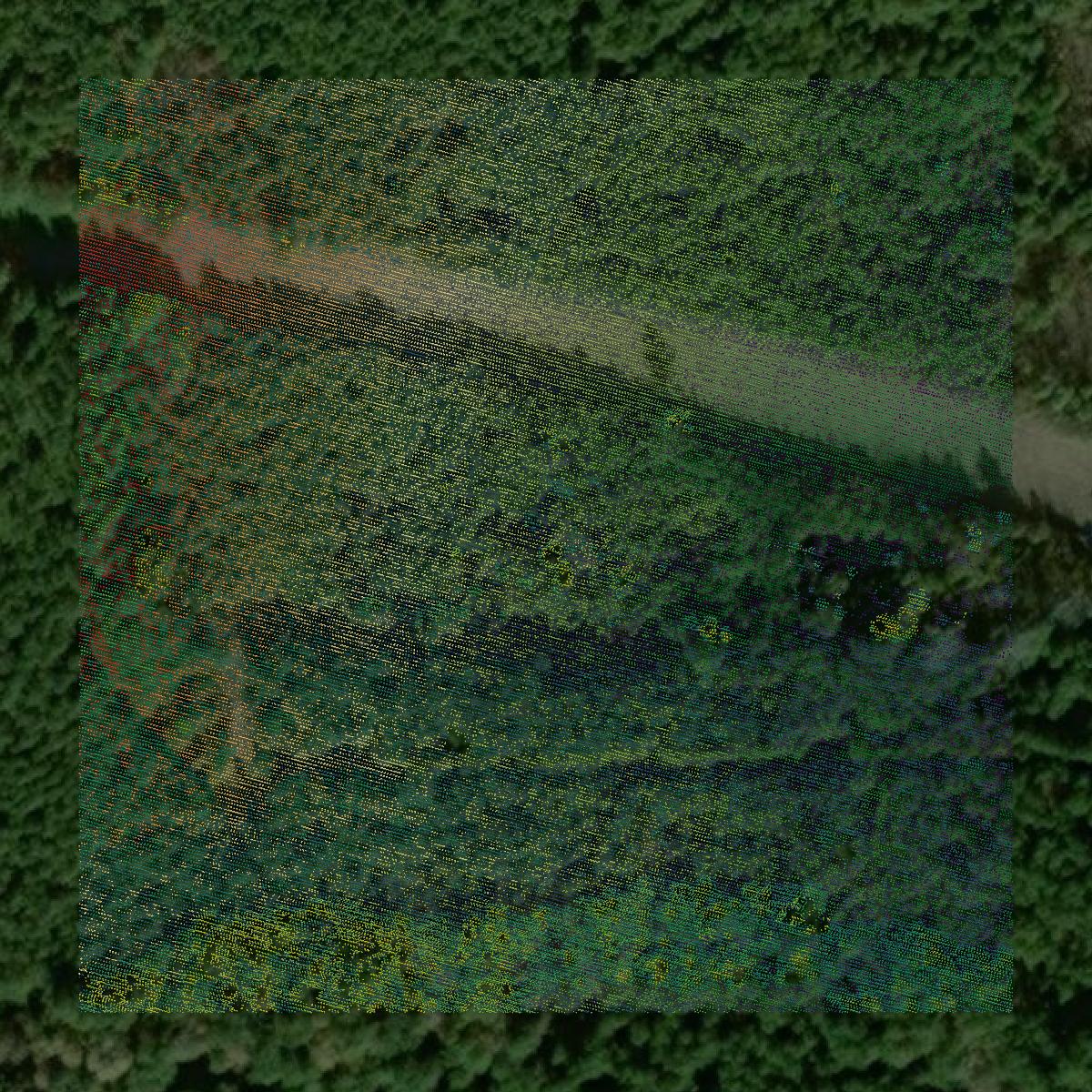 This image shows a LiDAR point cloud in Cleveland County created using GIS data in Equator.