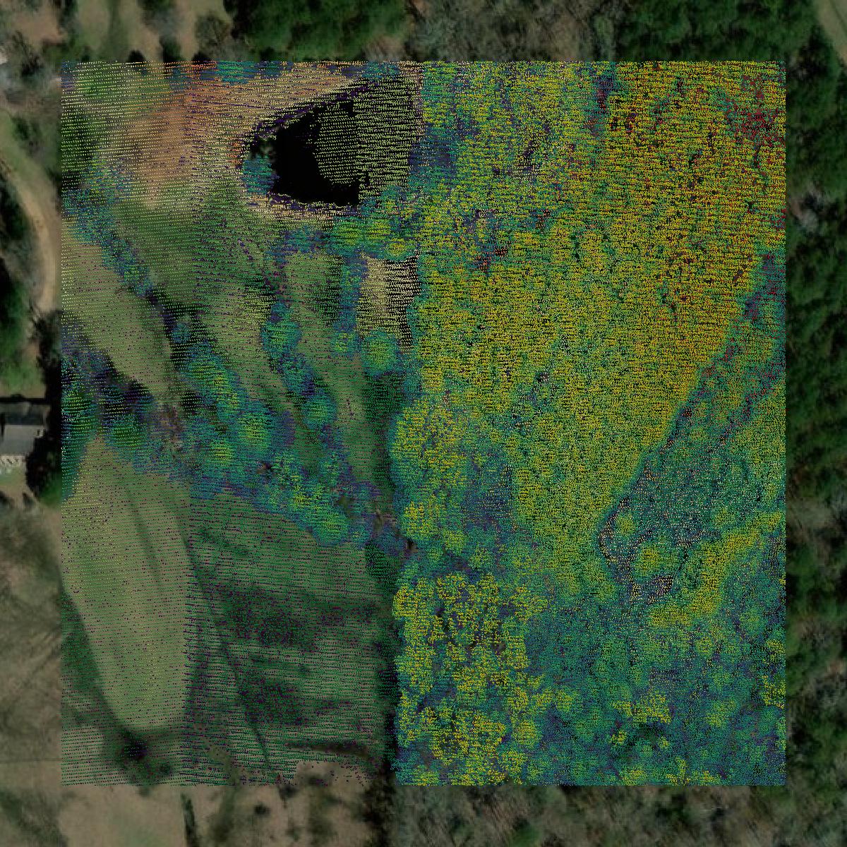This image shows a LiDAR point cloud in Columbia County created using GIS data in Equator.