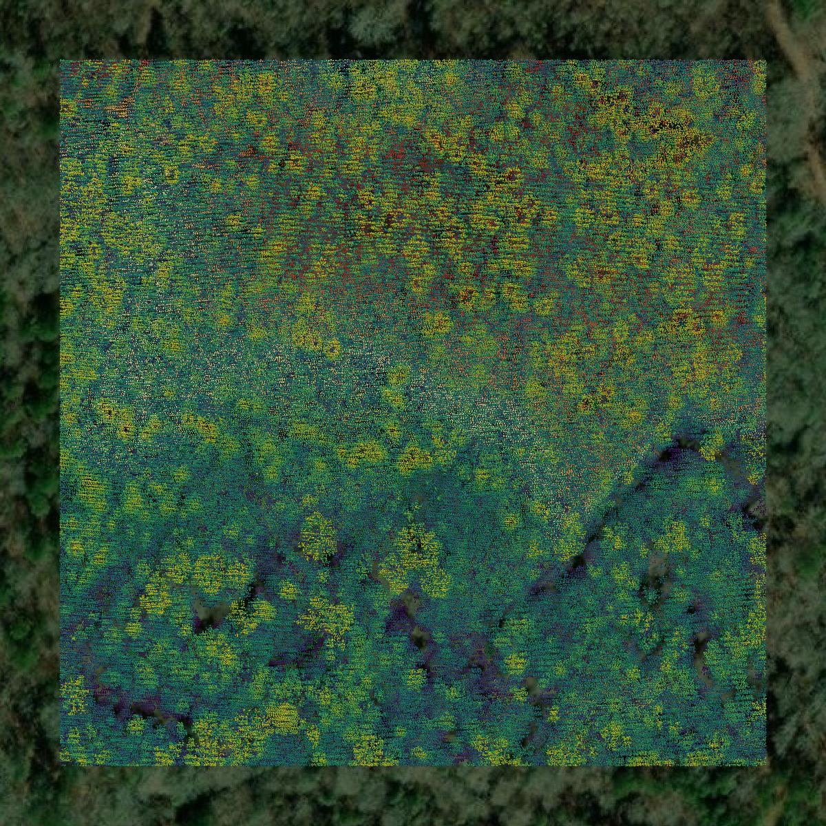 This image shows a LiDAR point cloud in Columbia County created using GIS data in Equator.