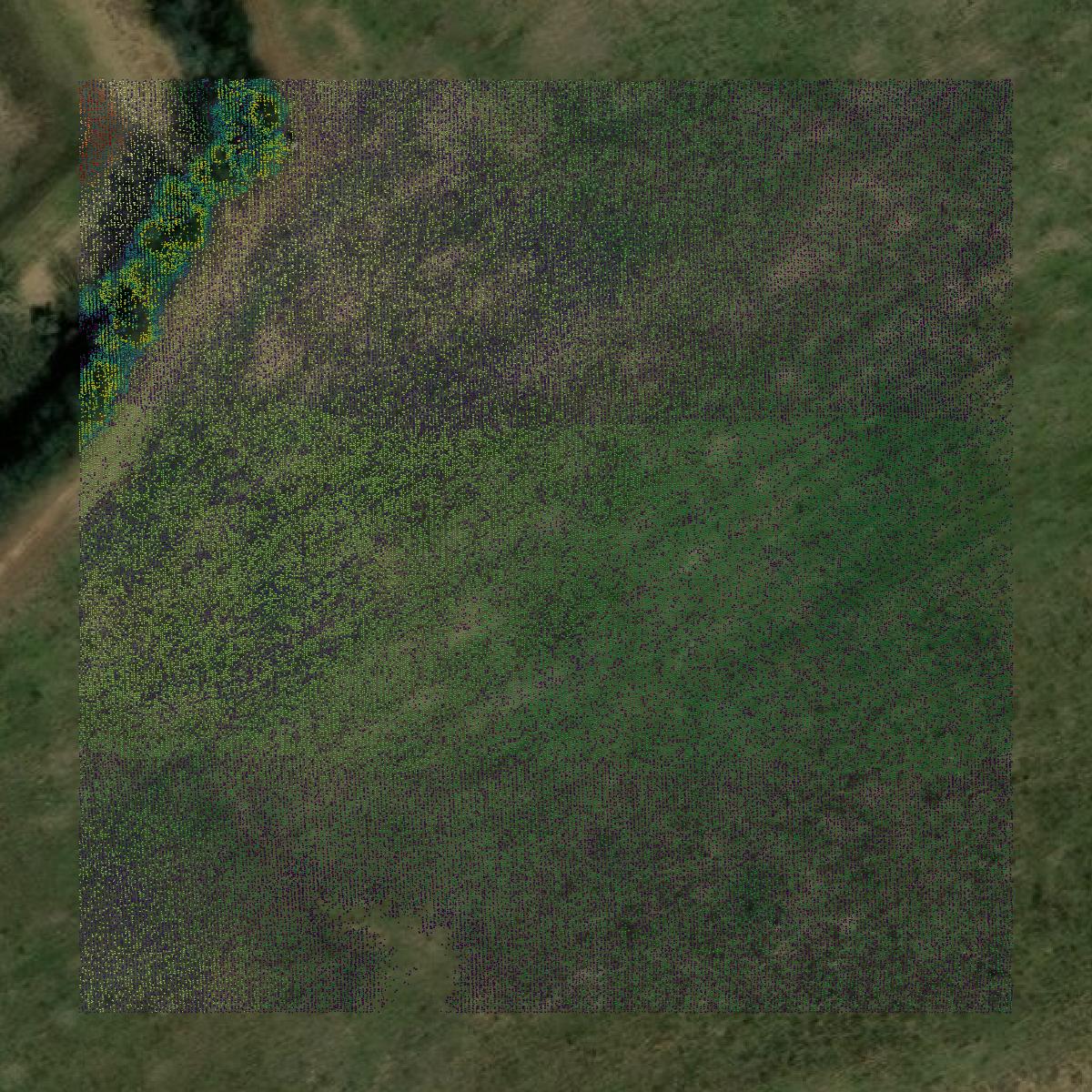 This image shows a LiDAR point cloud in Conway County created using GIS data in Equator.