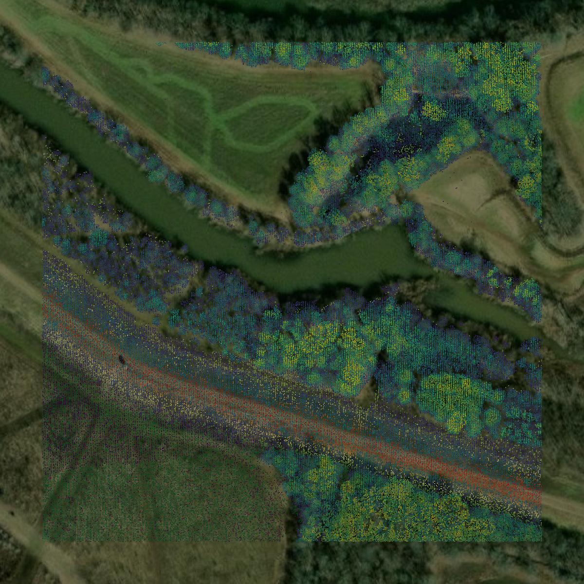 This image shows a LiDAR point cloud in Conway County created using GIS data in Equator.
