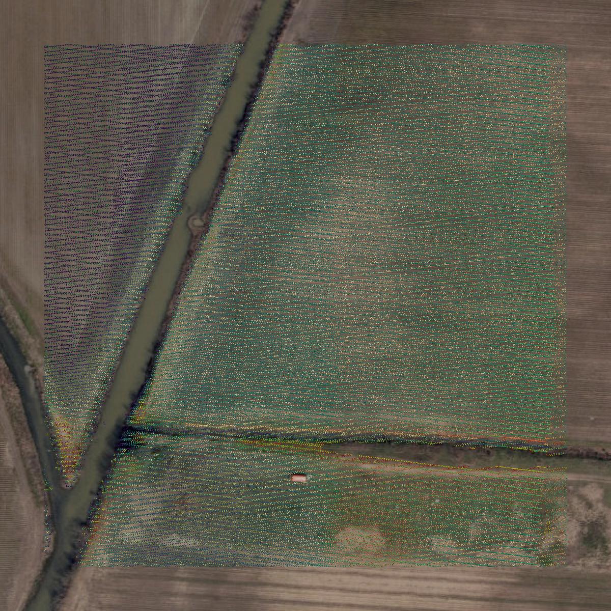 This image shows a LiDAR point cloud in Craighead County created using GIS data in Equator.