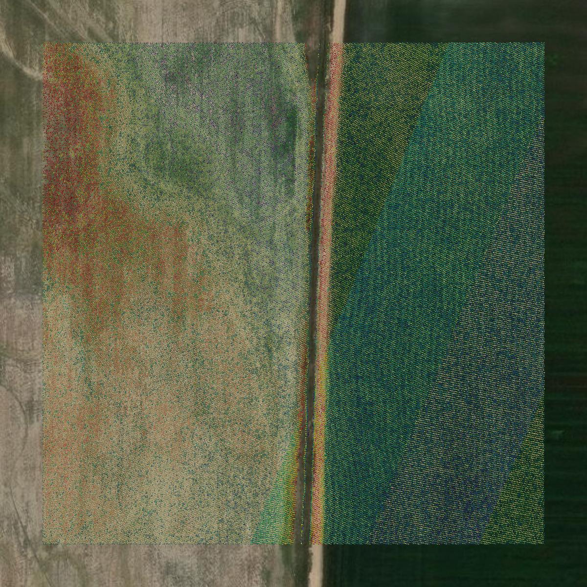This image shows a LiDAR point cloud in Craighead County created using GIS data in Equator.