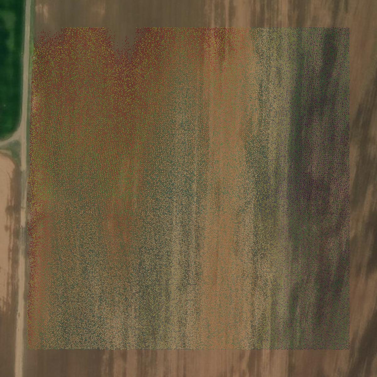 This image shows a LiDAR point cloud in Crawford County created using GIS data in Equator.