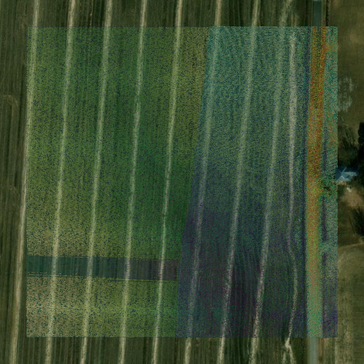 This image shows a LiDAR point cloud in Cross County created using GIS data in Equator.