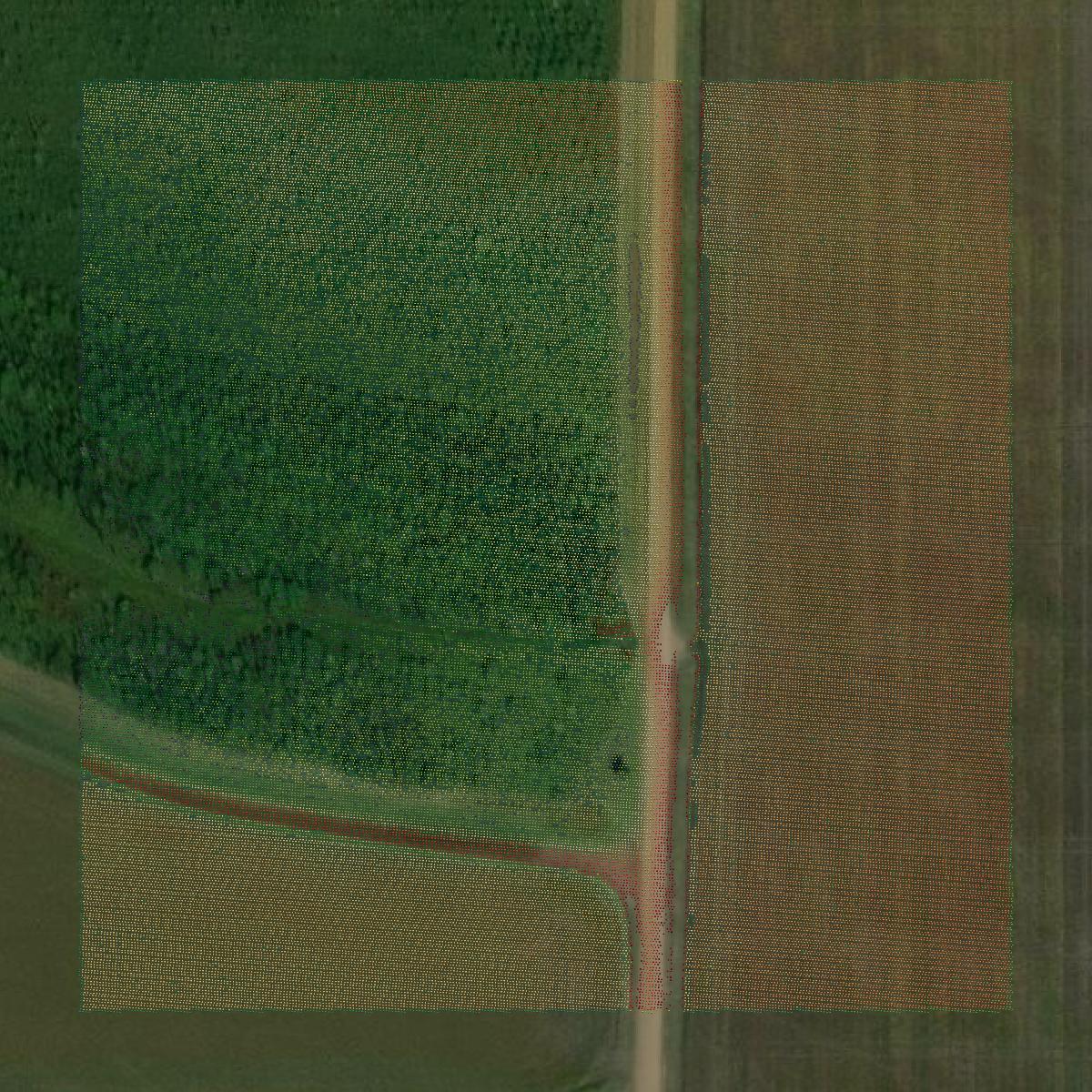 This image shows a LiDAR point cloud in Cross County created using GIS data in Equator.