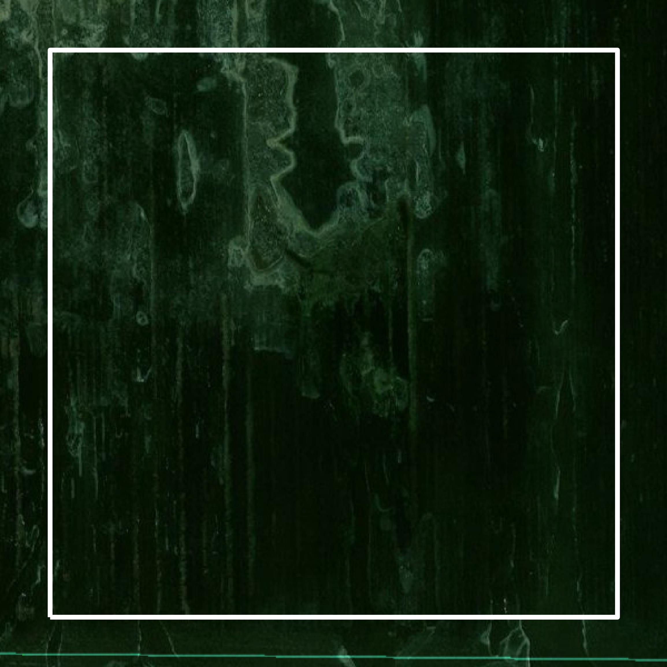 This image shows parcel and building data in Desha County created using GIS data in Equator.