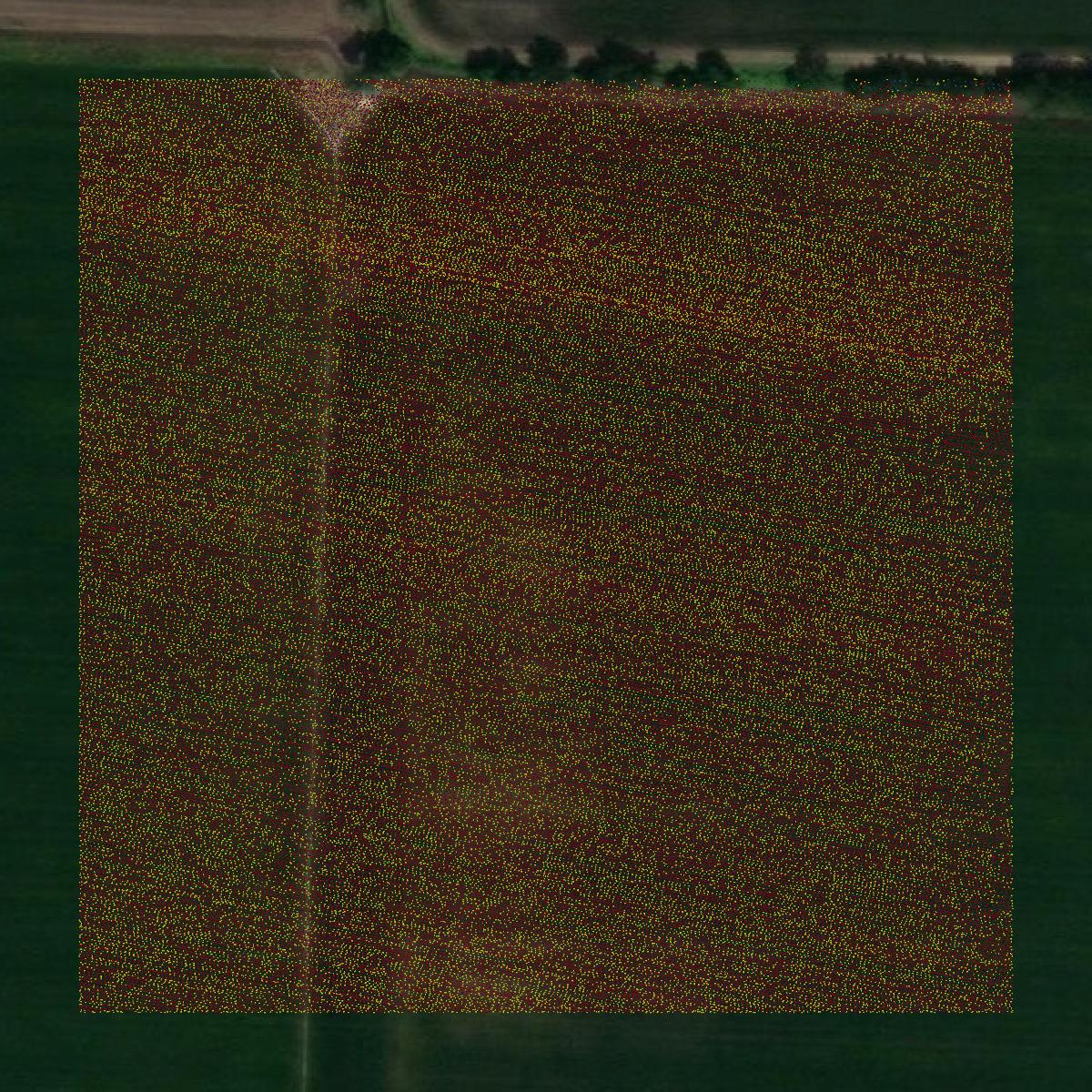 This image shows a LiDAR point cloud in Desha County created using GIS data in Equator.