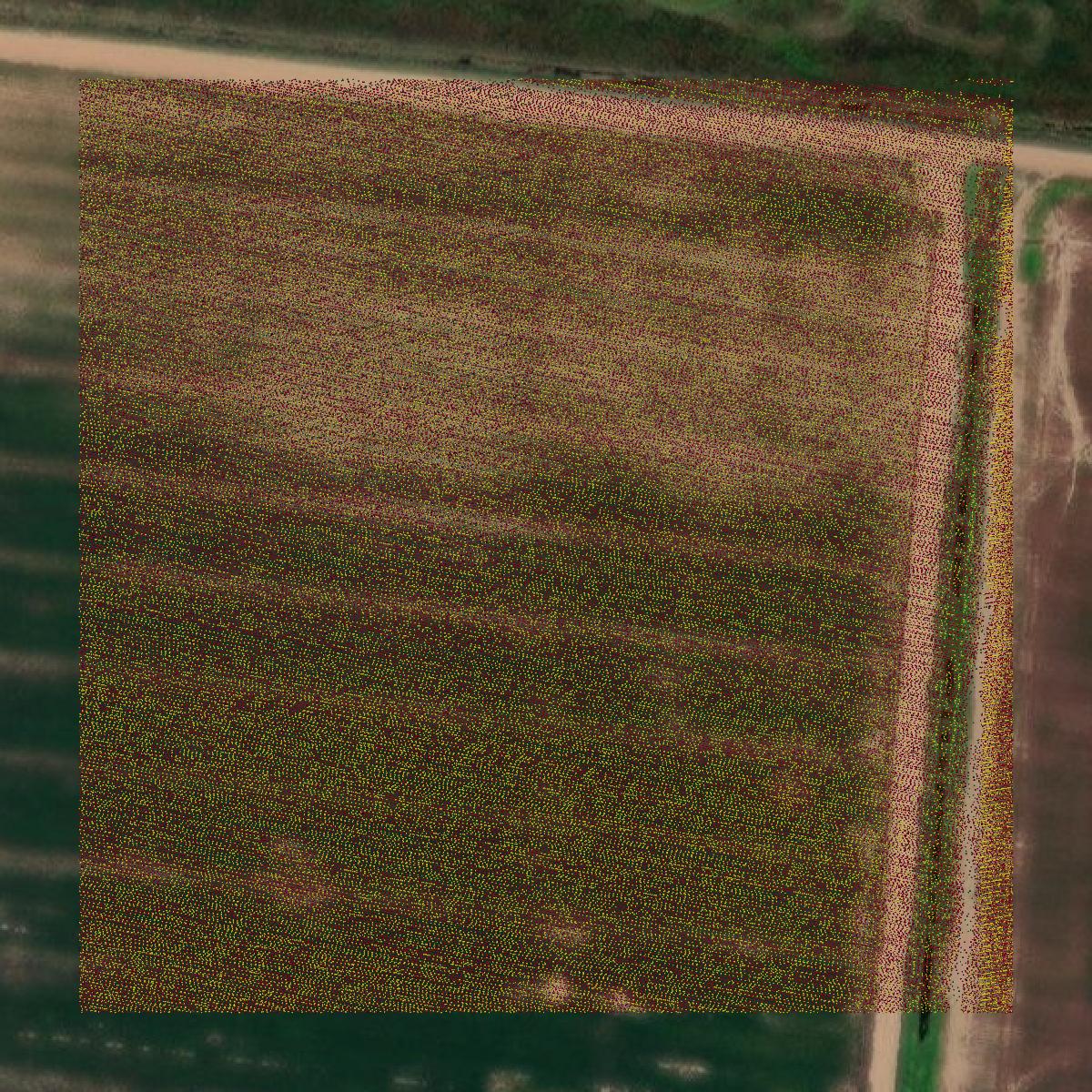 This image shows a LiDAR point cloud in Drew County created using GIS data in Equator.