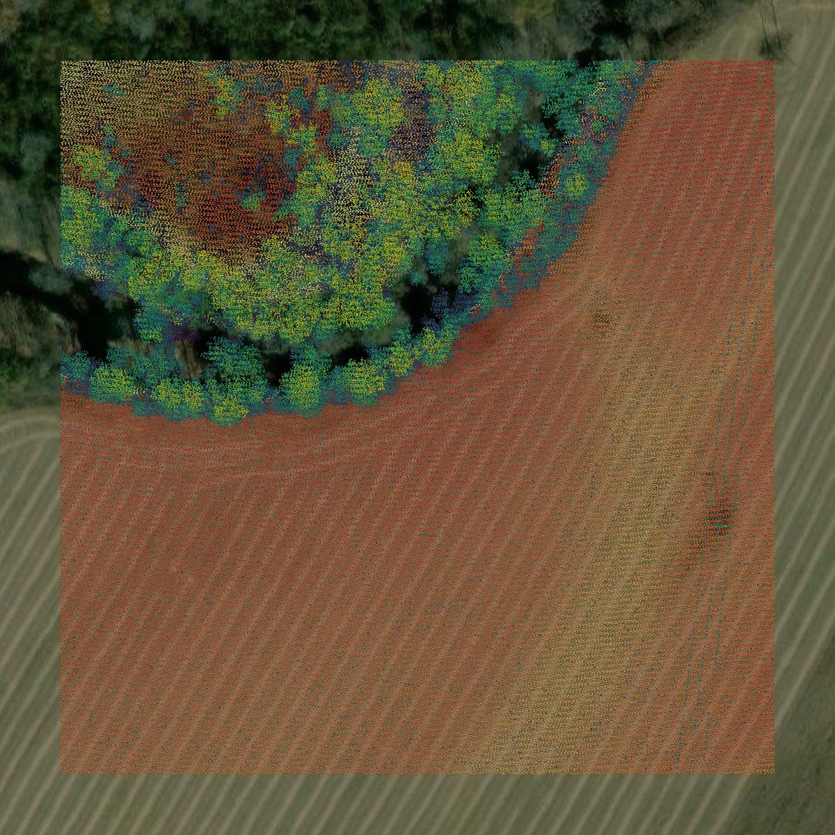 This image shows a LiDAR point cloud in Faulkner County created using GIS data in Equator.