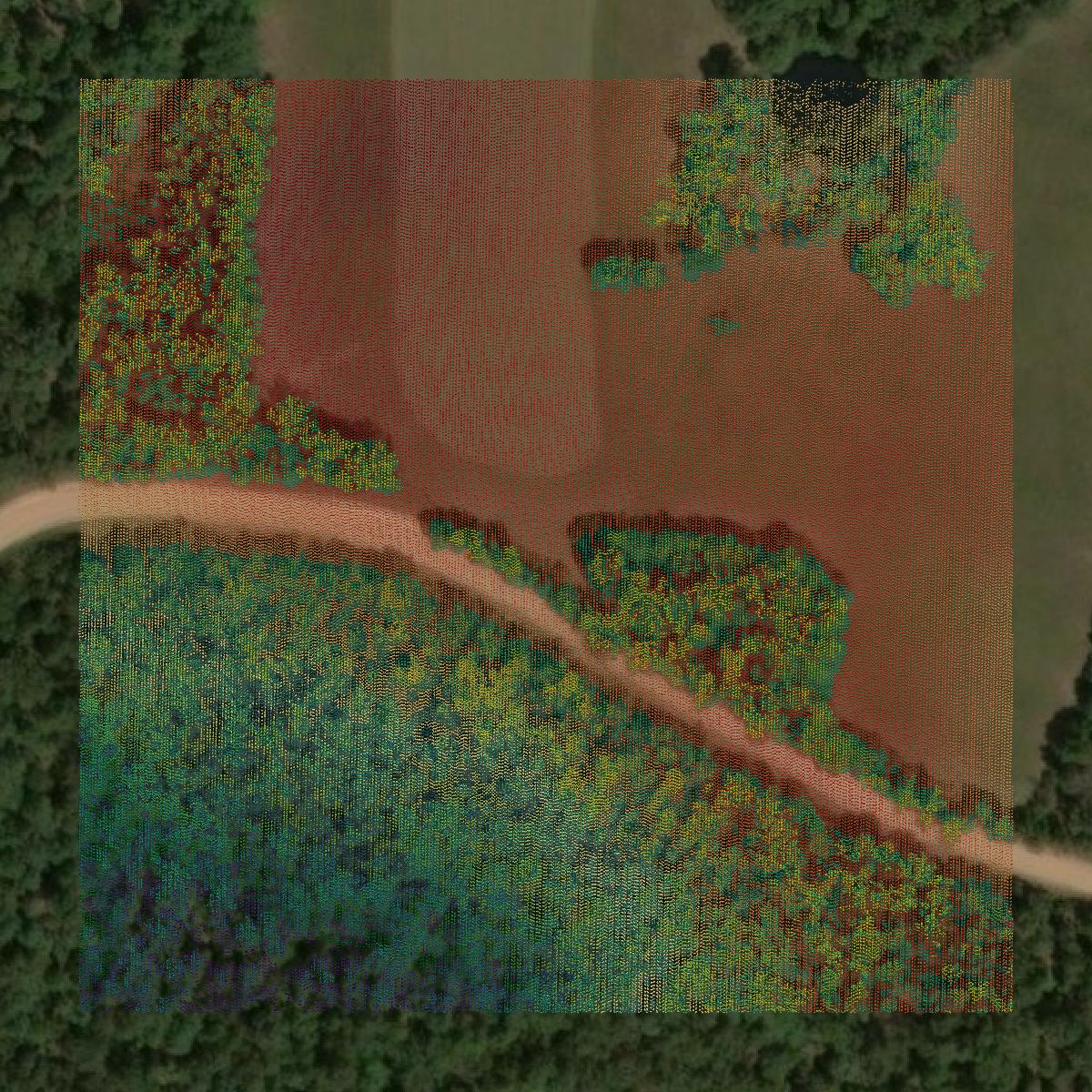 This image shows a LiDAR point cloud in Fulton County created using GIS data in Equator.