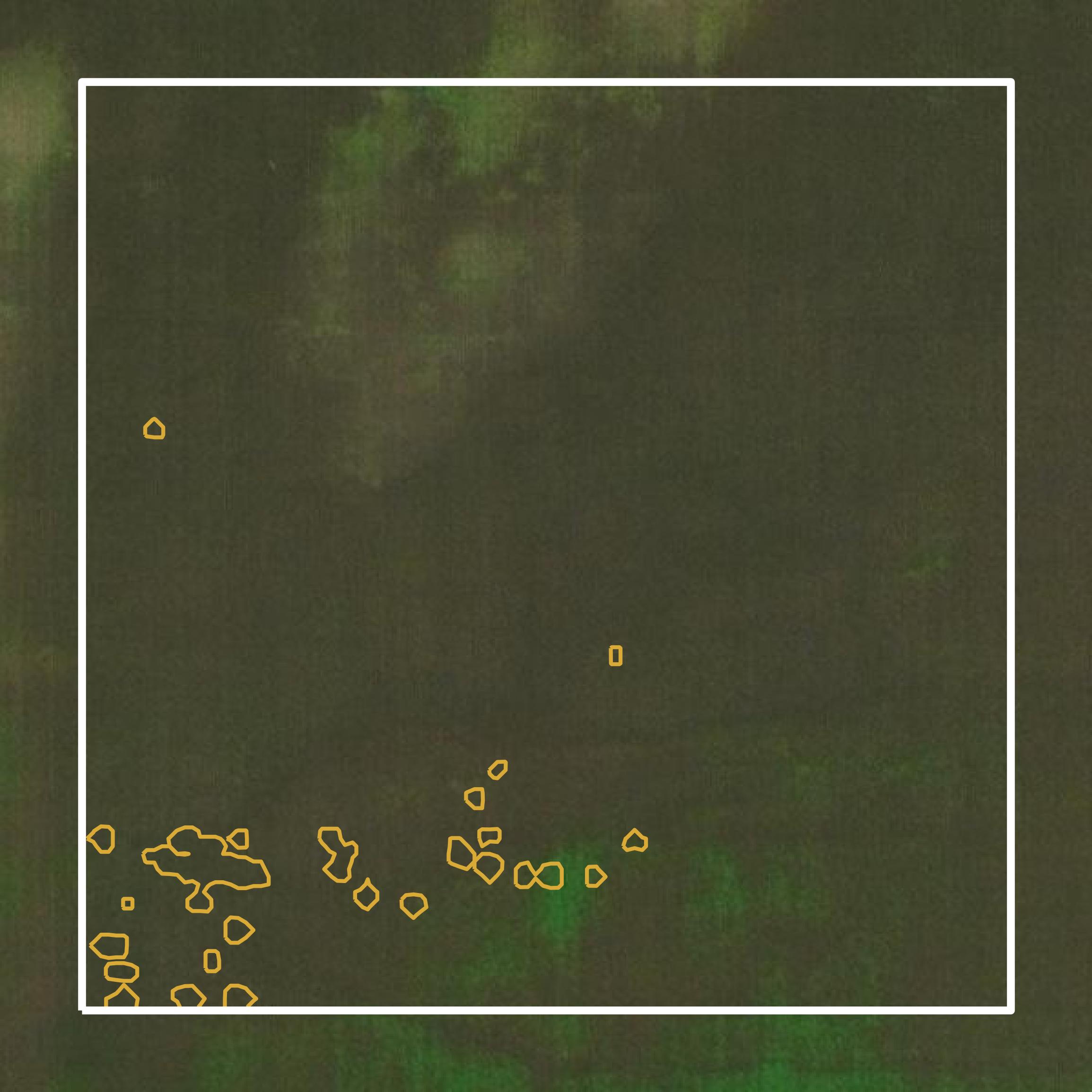 This image shows a contour map in Greene County created using GIS data in Equator.