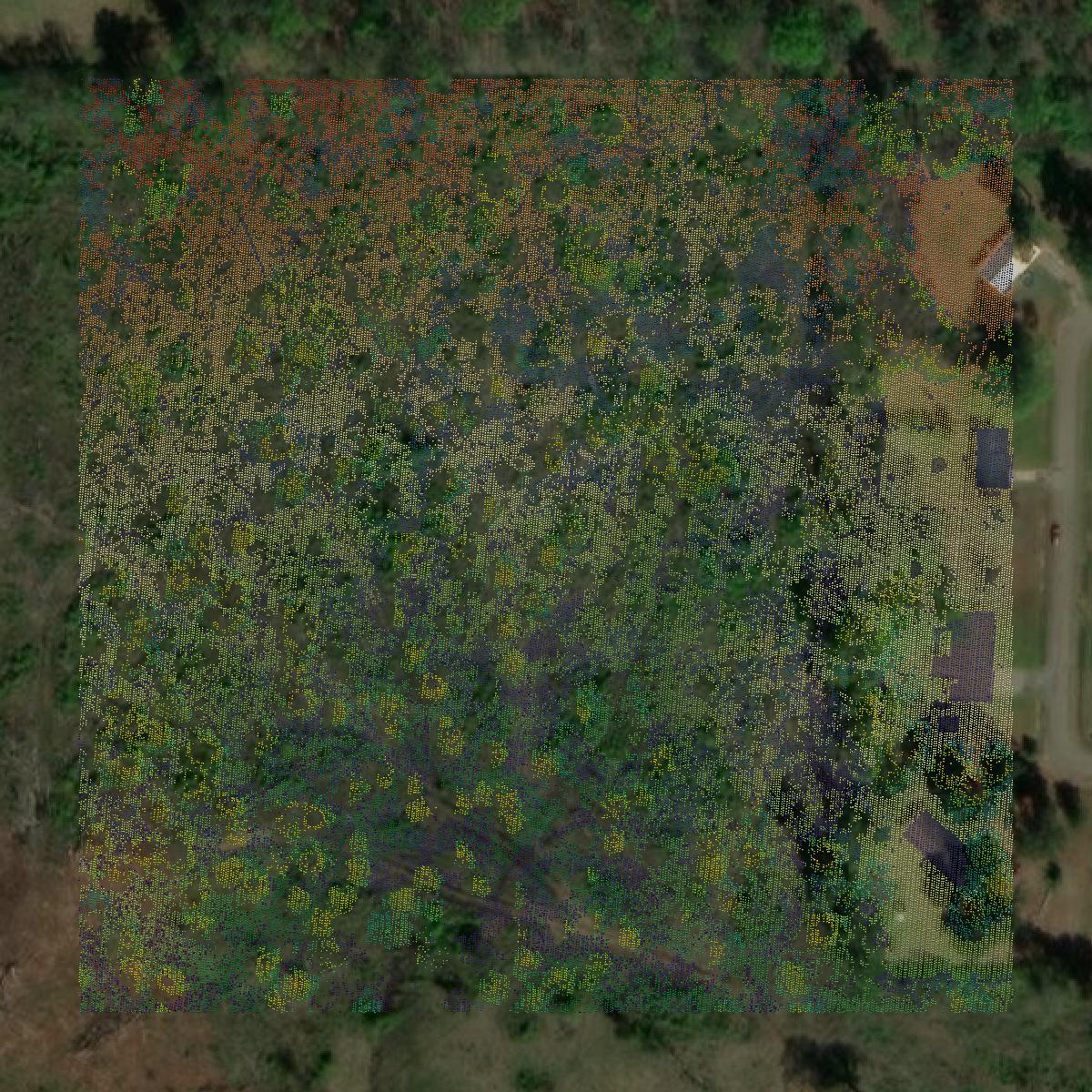 This image shows a LiDAR point cloud in Hempstead County created using GIS data in Equator.
