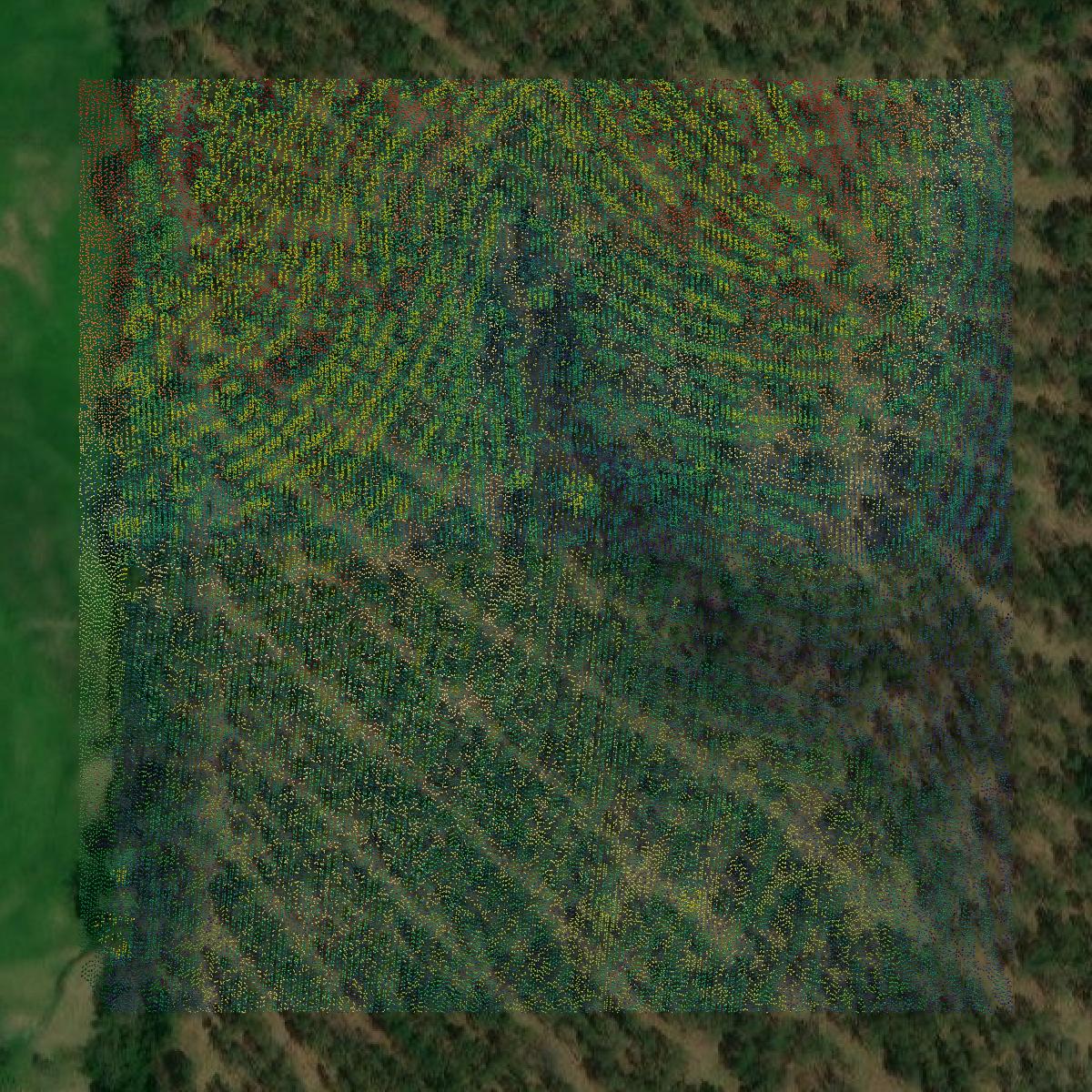 This image shows a LiDAR point cloud in Howard County created using GIS data in Equator.