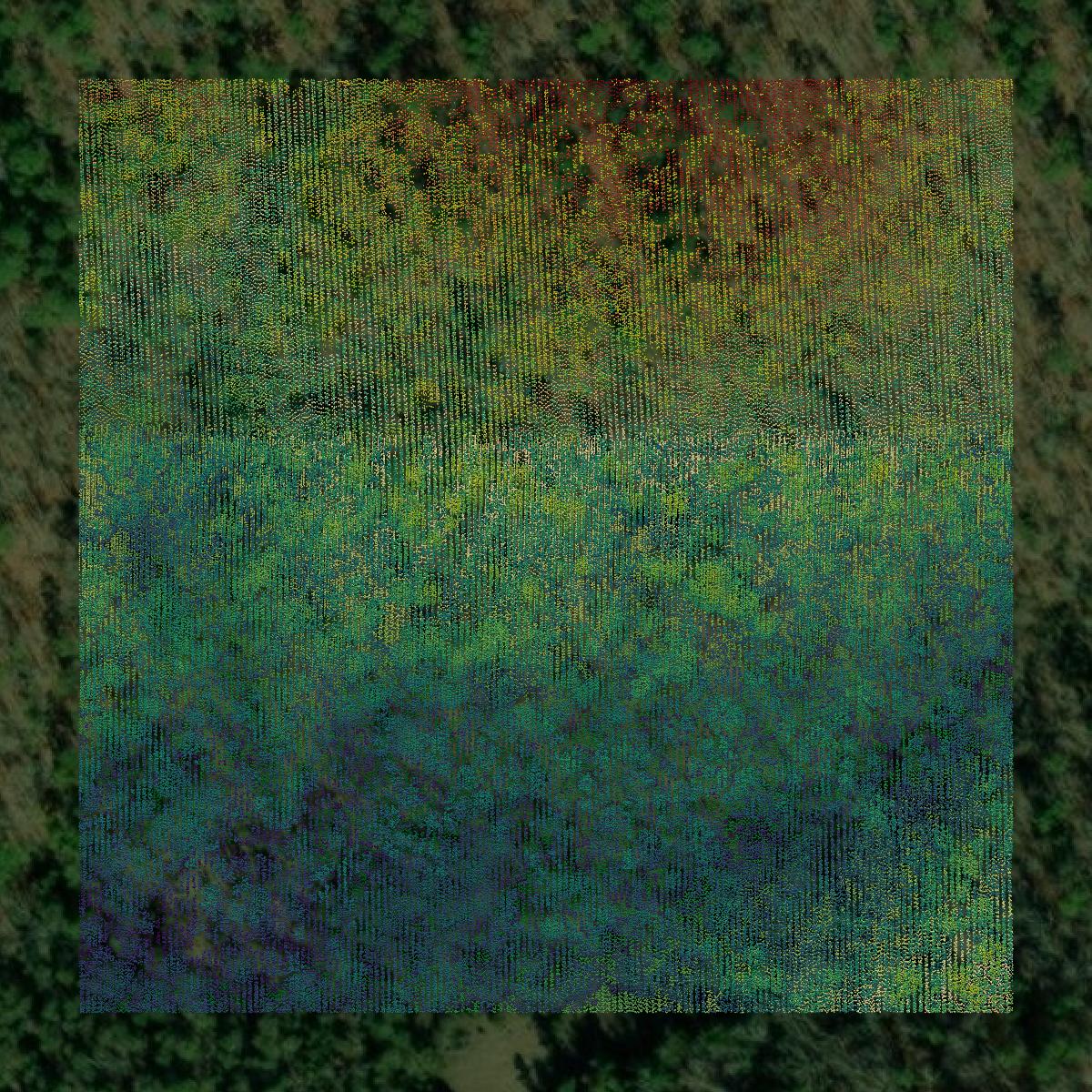 This image shows a LiDAR point cloud in Izard County created using GIS data in Equator.