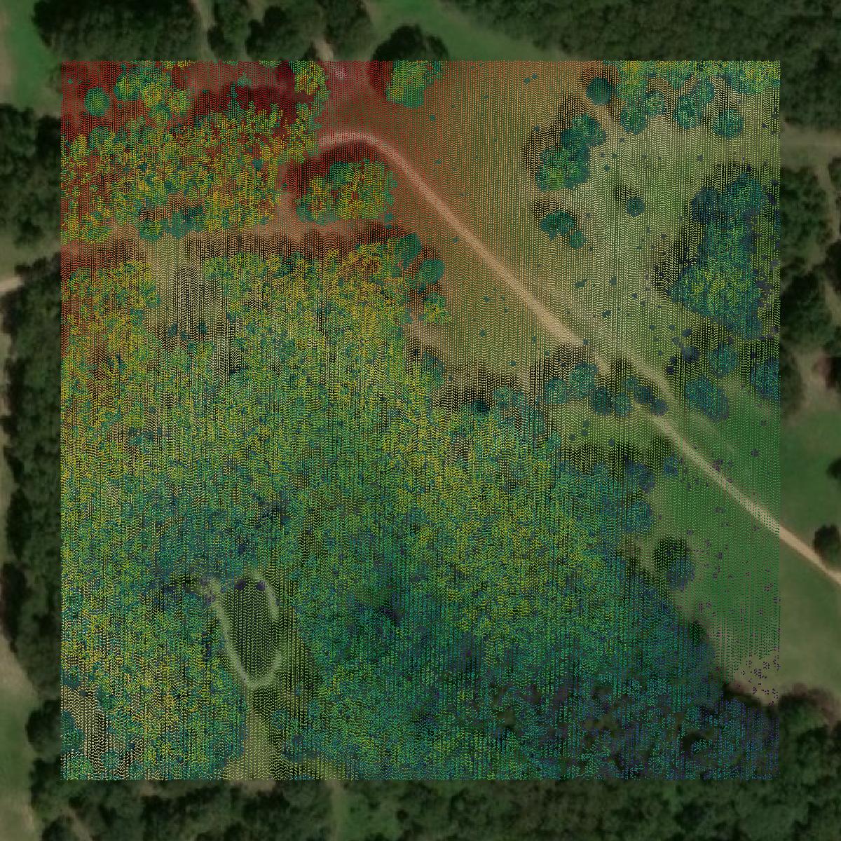This image shows a LiDAR point cloud in Izard County created using GIS data in Equator.