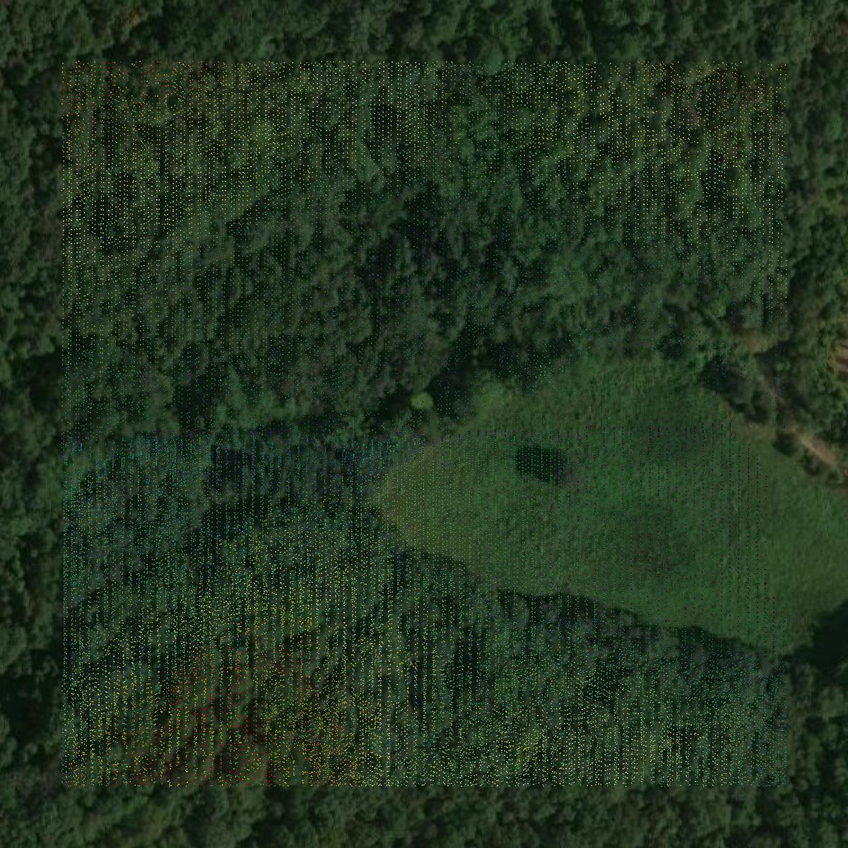 This image shows a LiDAR point cloud in Johnson County created using GIS data in Equator.