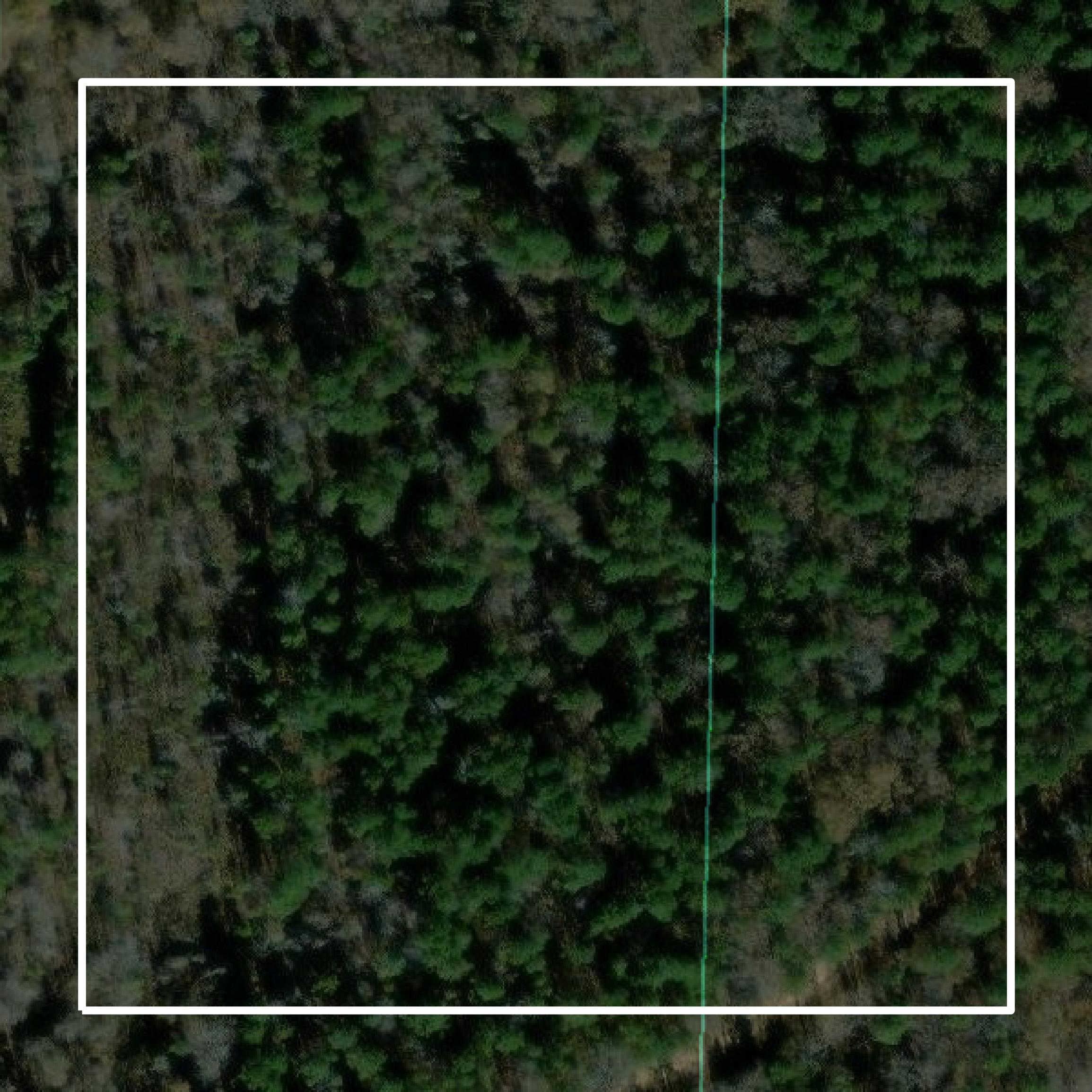 This image shows parcel and building data in Lafayette County created using GIS data in Equator.