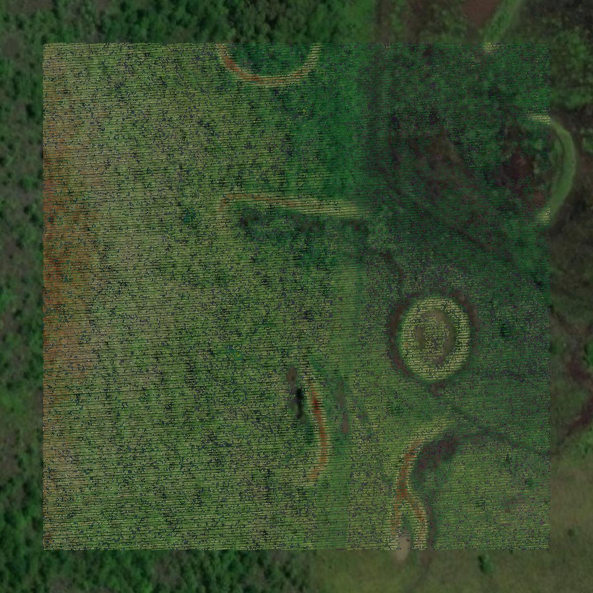 This image shows a LiDAR point cloud in Lafayette County created using GIS data in Equator.