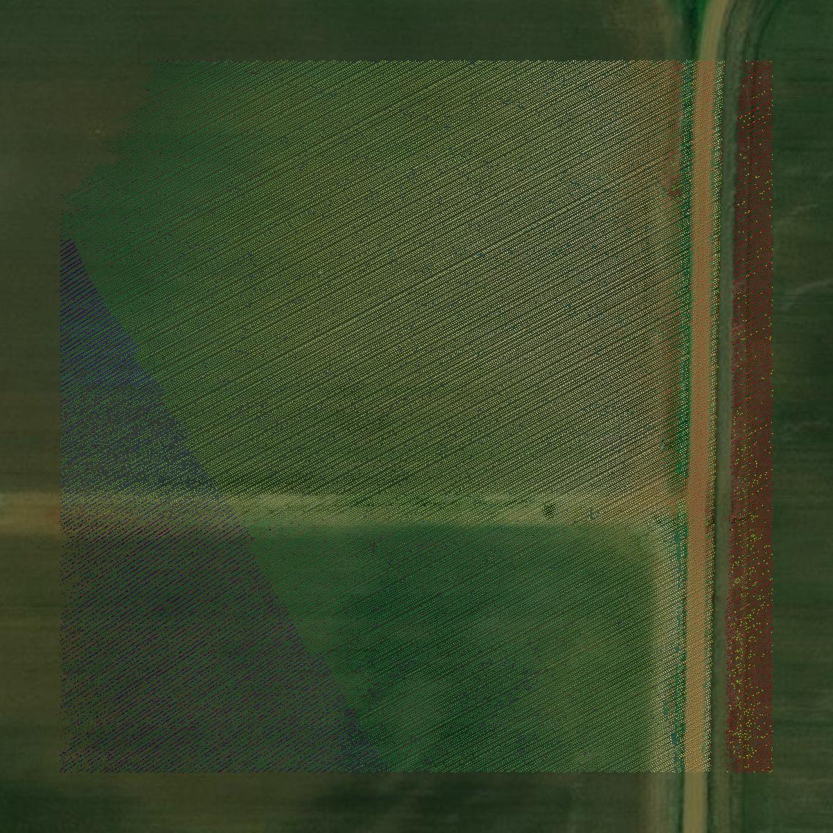 This image shows a LiDAR point cloud in Lee County created using GIS data in Equator.