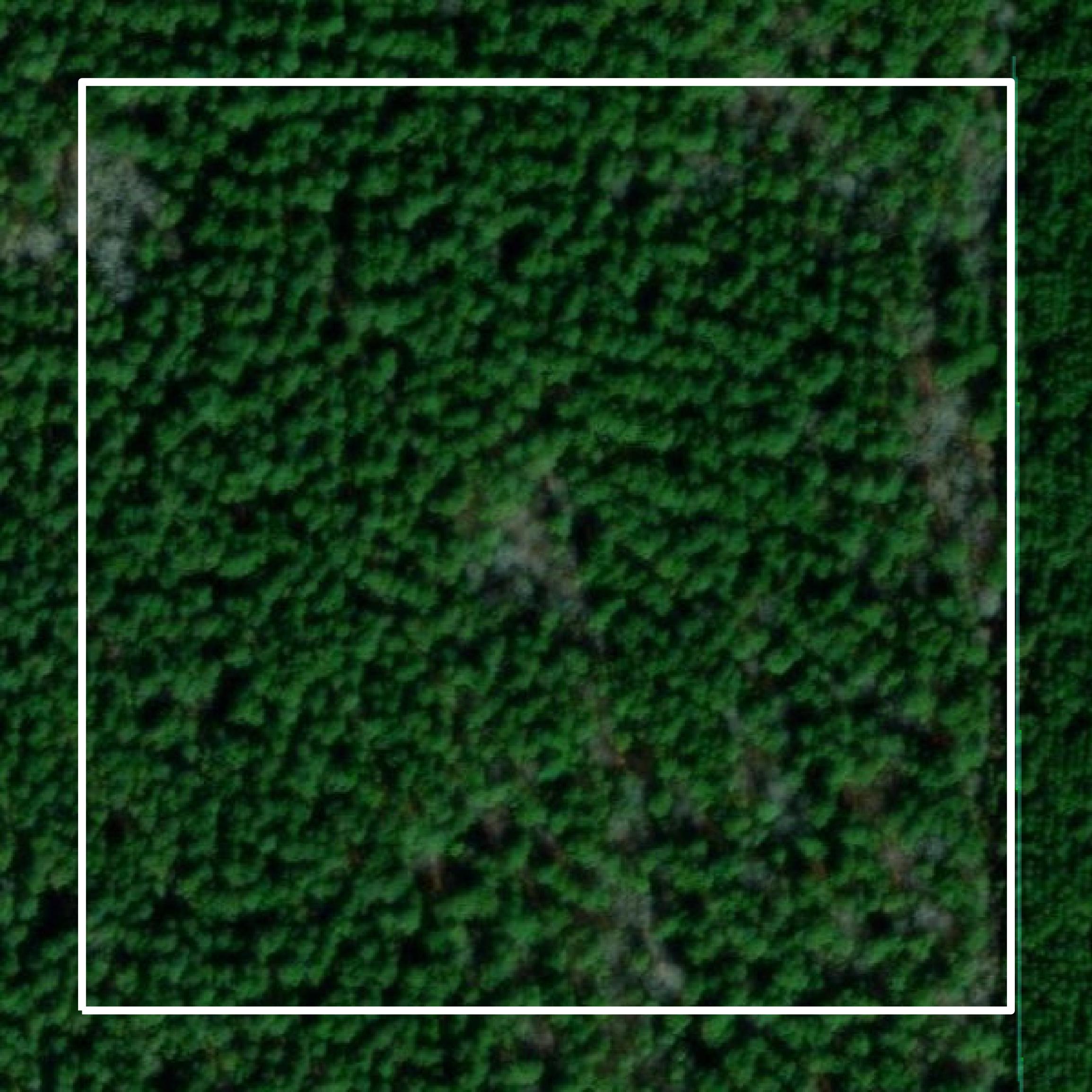 This image shows parcel and building data in Lincoln County created using GIS data in Equator.