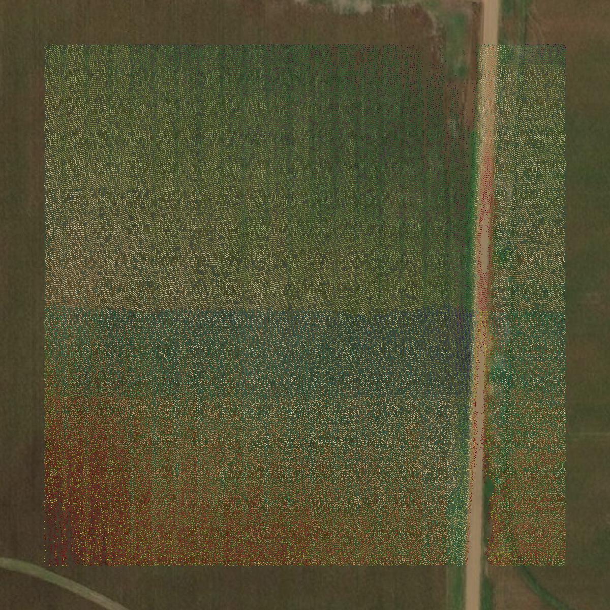 This image shows a LiDAR point cloud in Little River County created using GIS data in Equator.