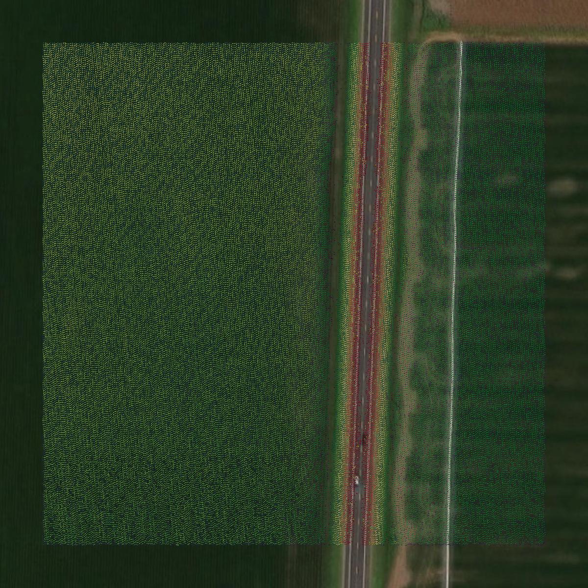 This image shows a LiDAR point cloud in Little River County created using GIS data in Equator.