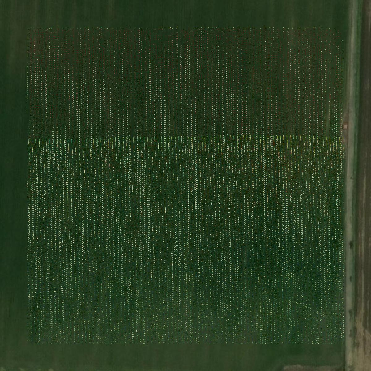 This image shows a LiDAR point cloud in Logan County created using GIS data in Equator.