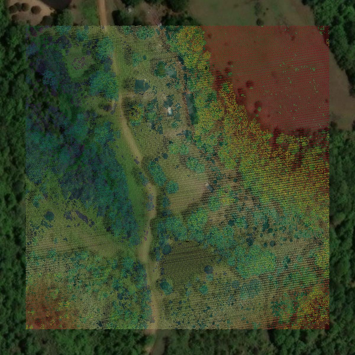 This image shows a LiDAR point cloud in Madison County created using GIS data in Equator.
