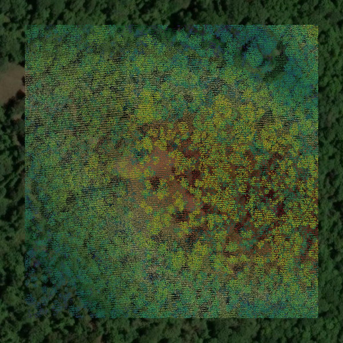 This image shows a LiDAR point cloud in Madison County created using GIS data in Equator.